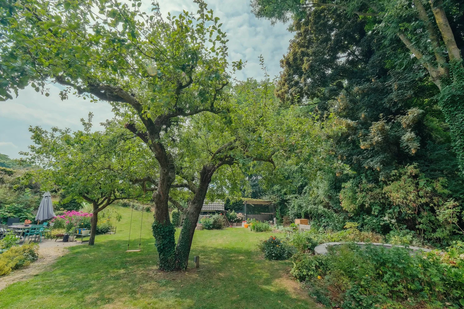 Tuin met grote boom, bloemen en een schommel.