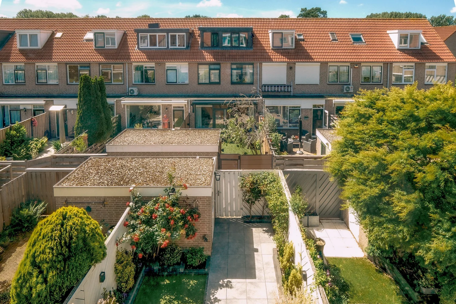 Dakterras vol planten en bloemen achter een witte omheining.