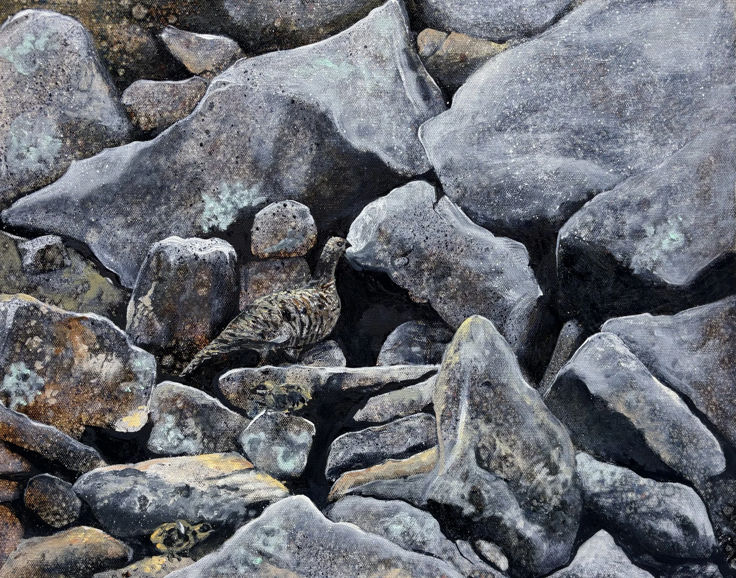 Ptarmigon and chicks 40x51cm / 16x20in £800