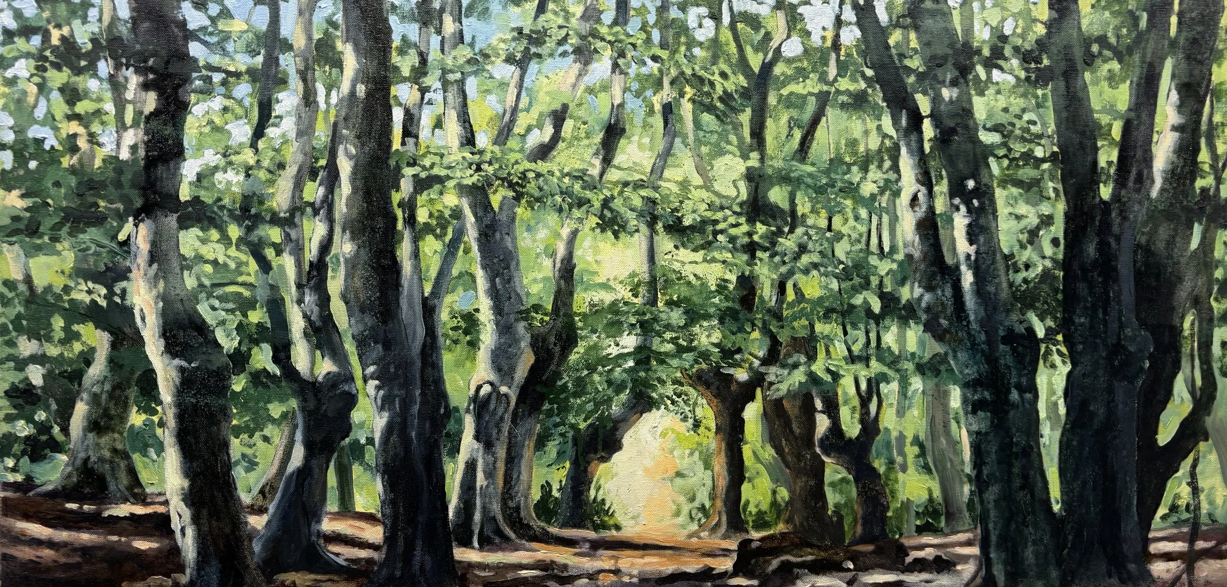 "Epping Beeches", Epping Forest 46x91cm / 18x36in £1400