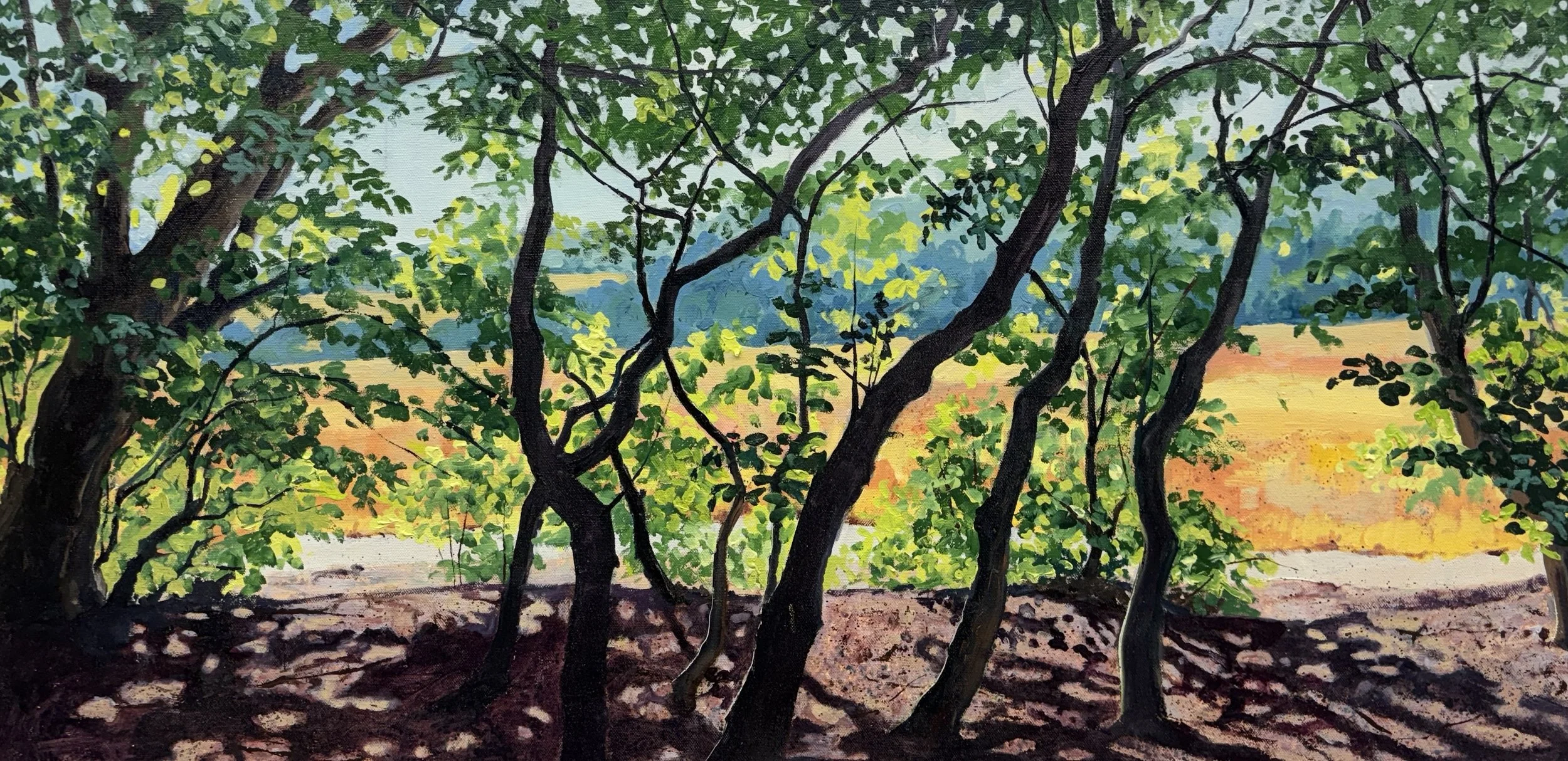 "Fallow Field", Trent Park 46x91cm / 18x36in £1400