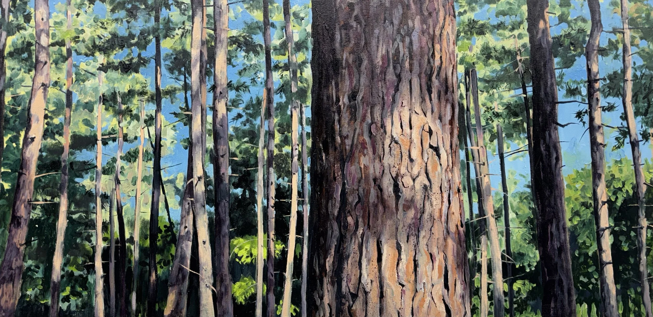 "Pining for You", Trent Park 46x91cm / 18x36in £1400