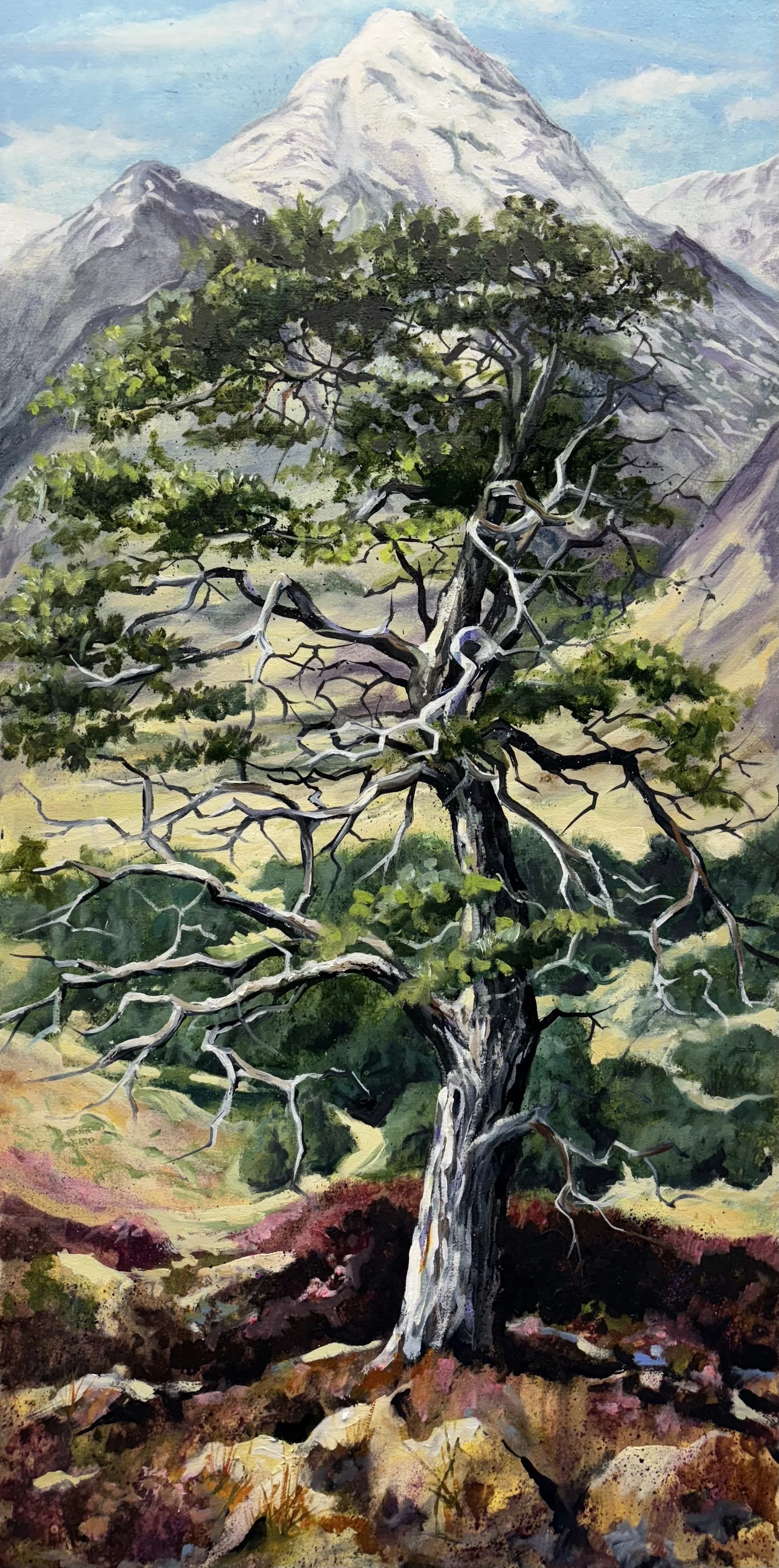 Scots Pine, Glen Affric 92x46cm / 36x18in £1400