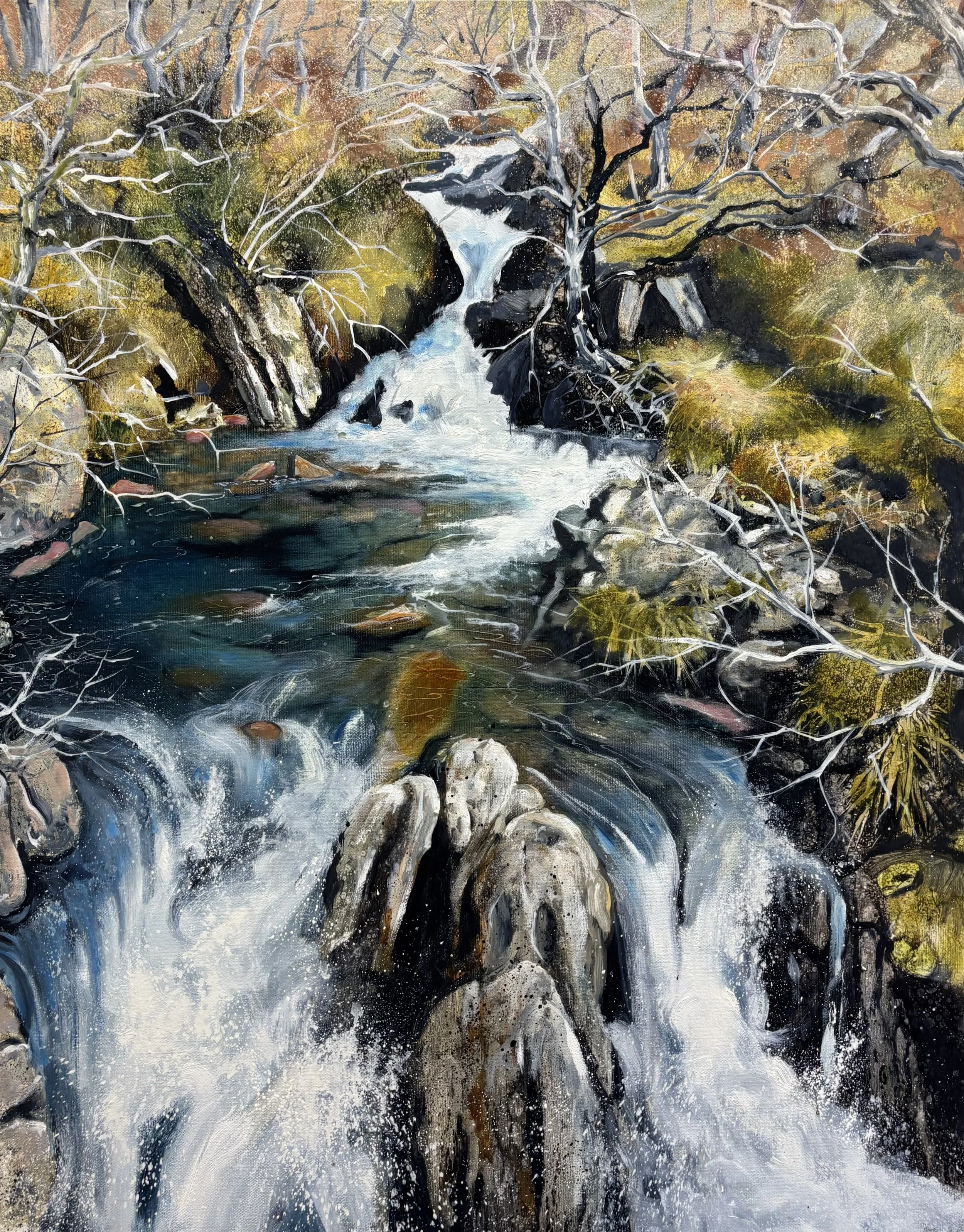 Waterfall II , Glen Moriston, Inverness 76x61cm / 30x24in £1550