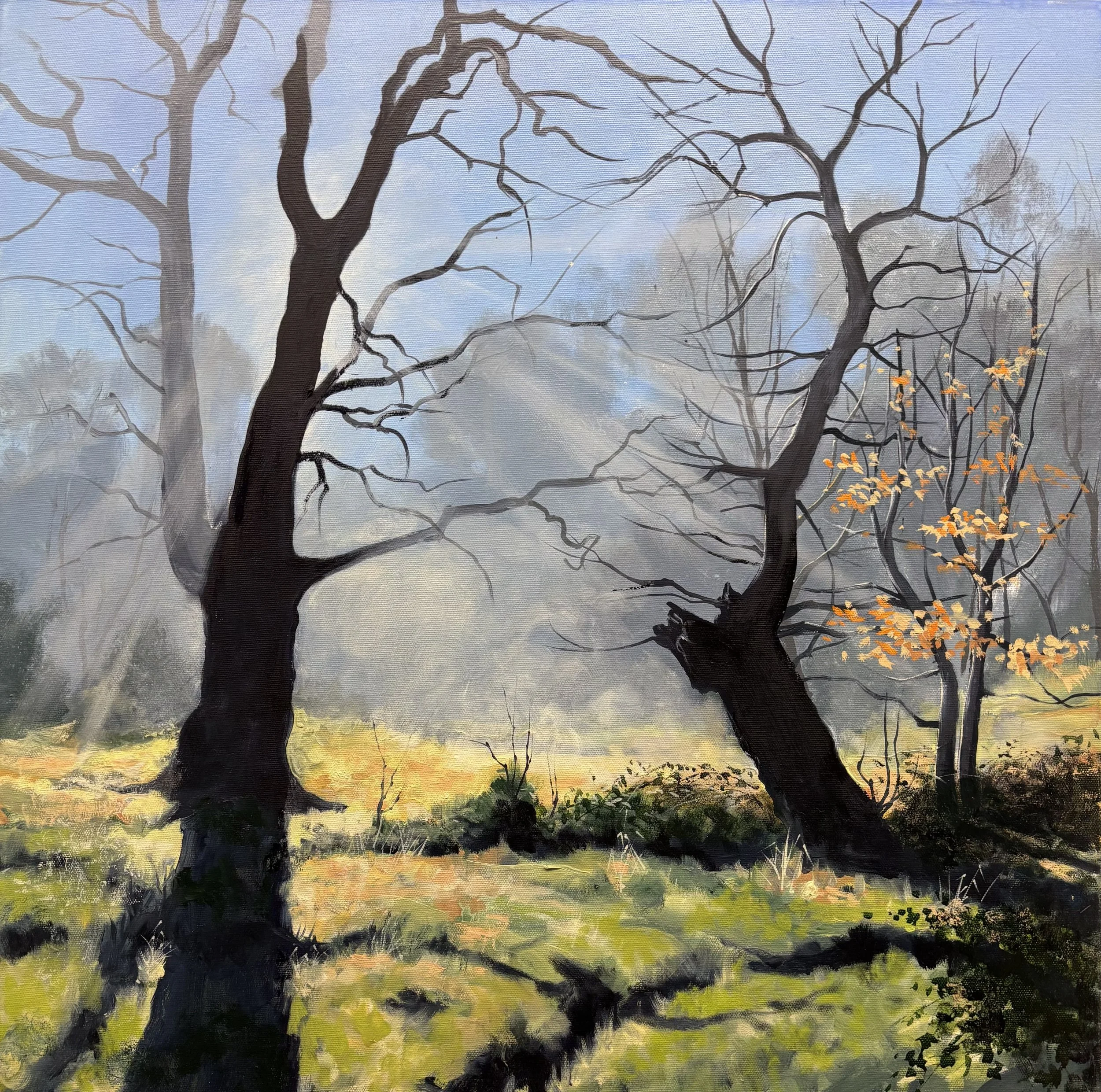 "Early morning Epping", Epping Forest 61x61cm / 24x24in £1200
