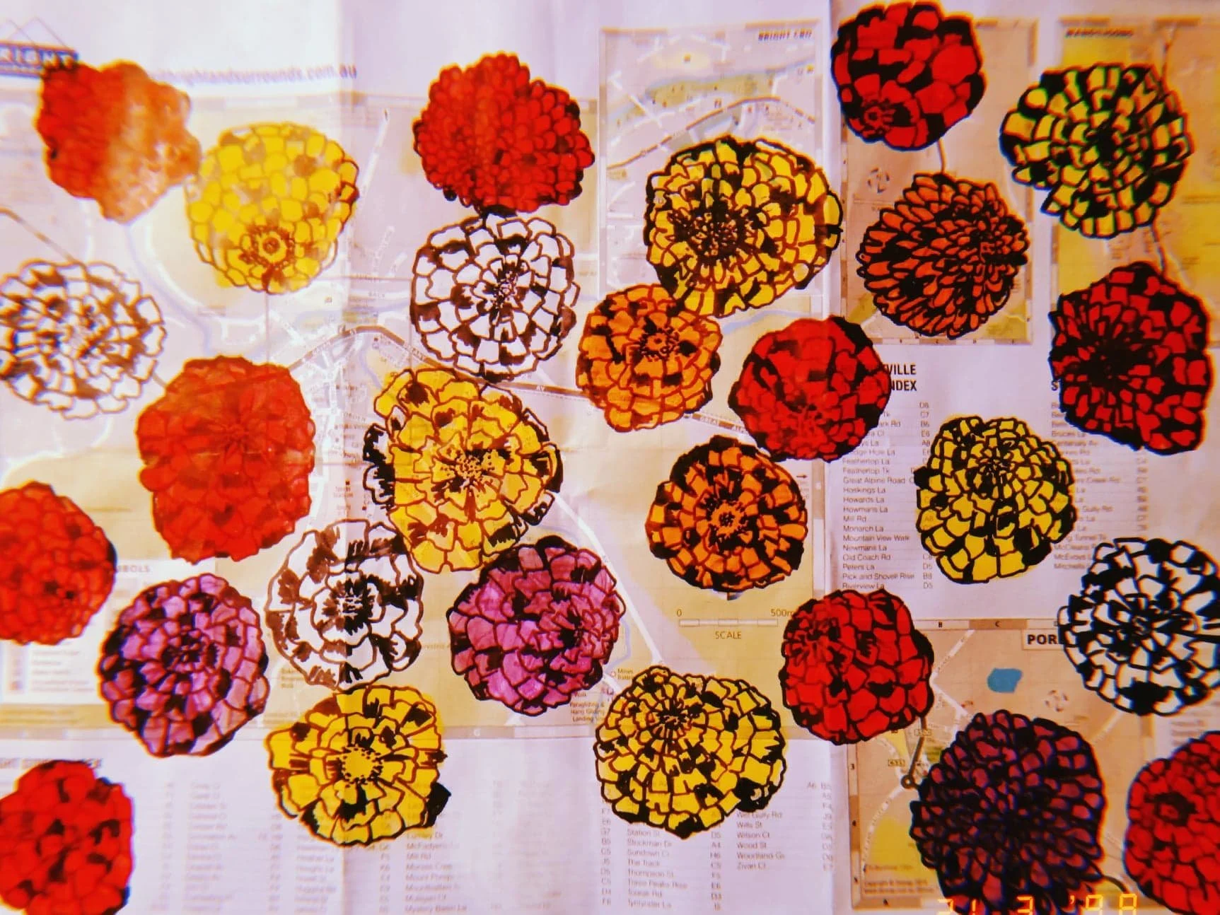 PASSION PROJECTS