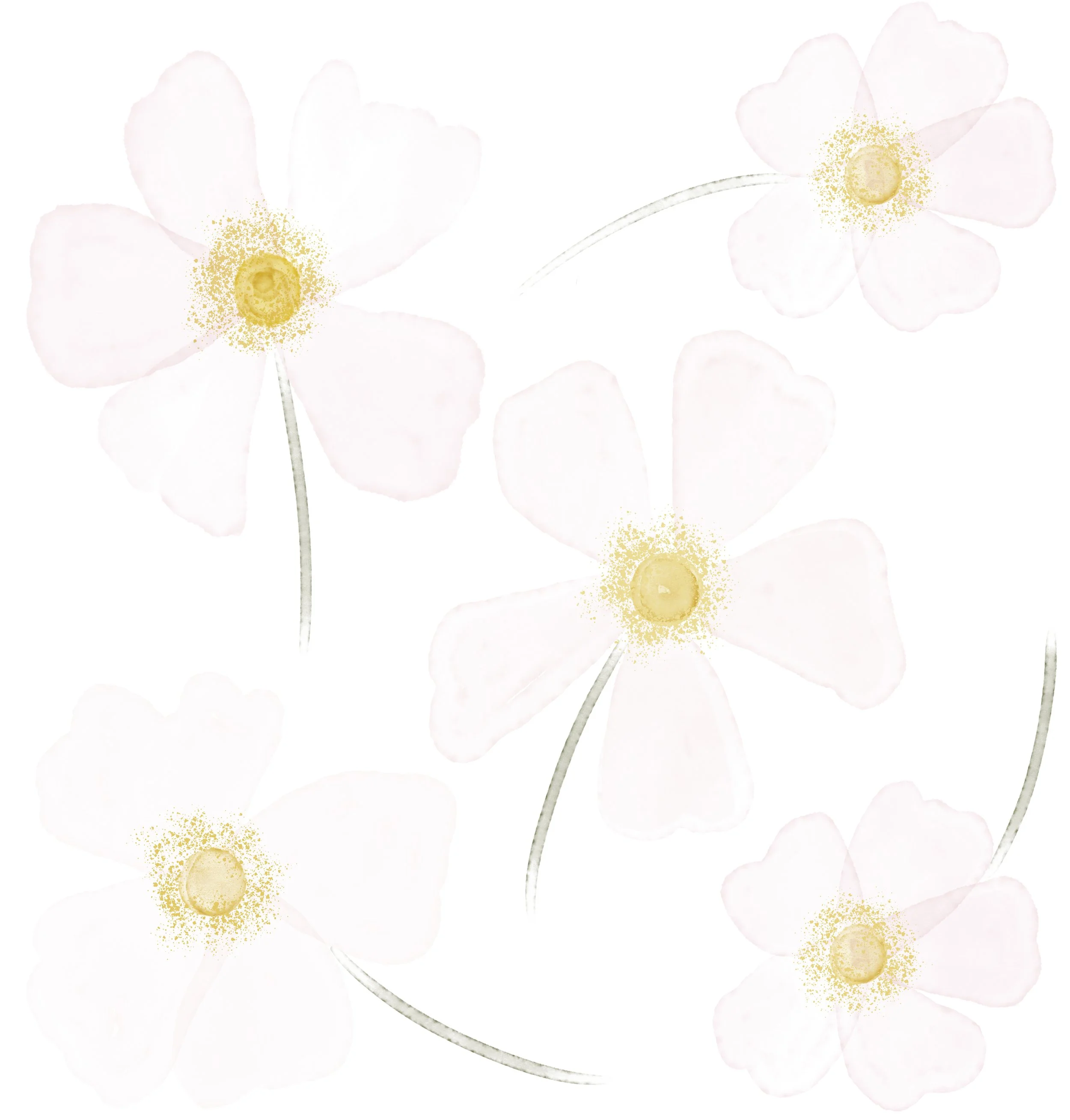 floral 3.jpg
