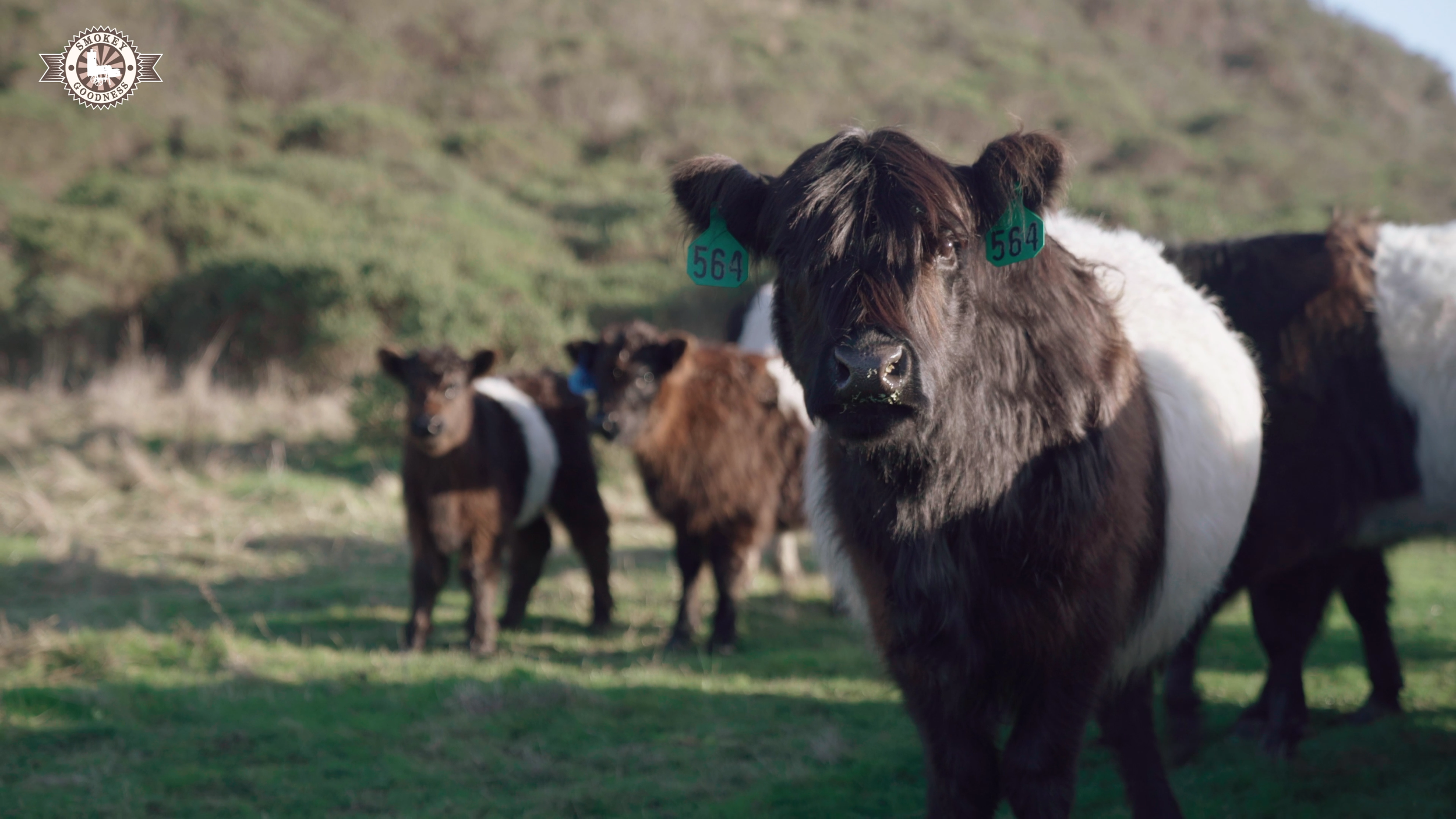 Sequence 01.00_02_24_05.Still012.png