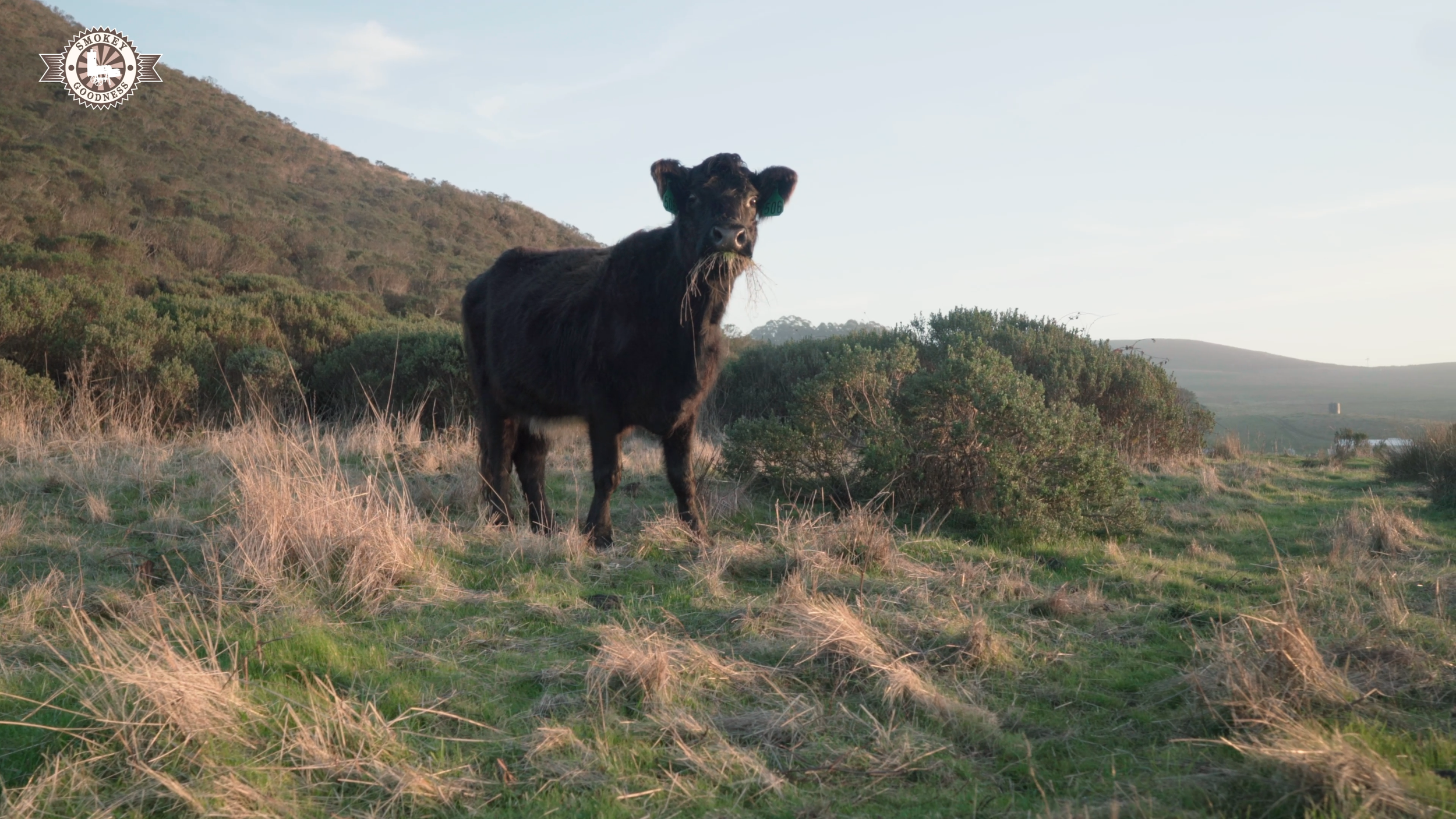 Sequence 01.00_02_32_11.Still014.png