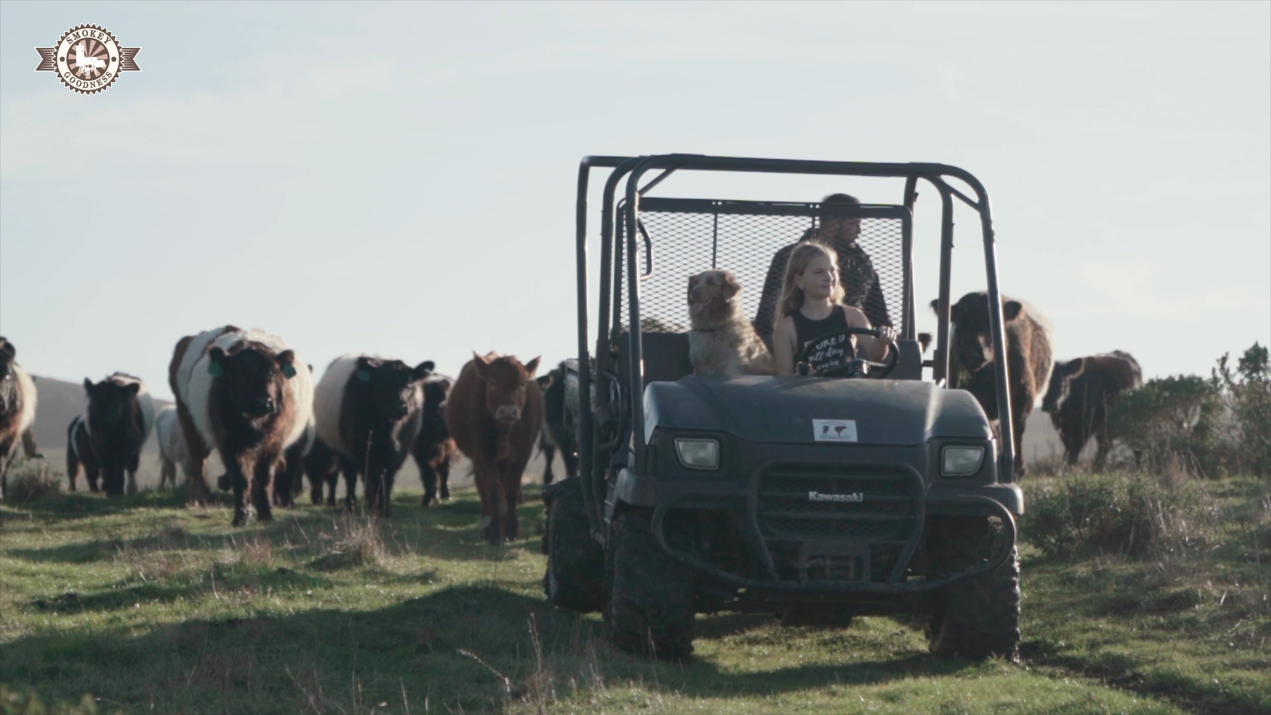 Sequence 01.00_02_38_08.Still015.png