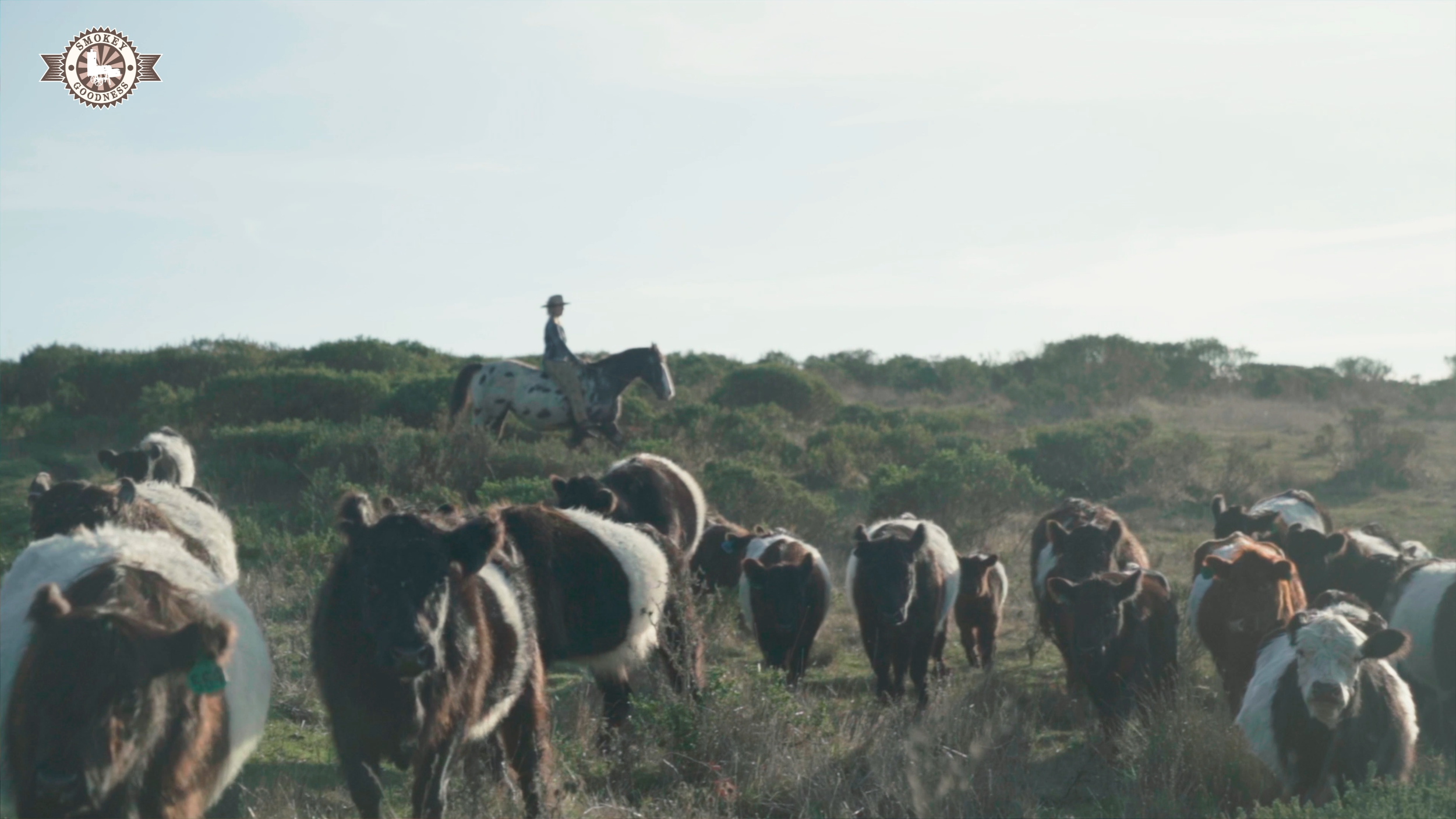 Sequence 01.00_02_27_23.Still013.png