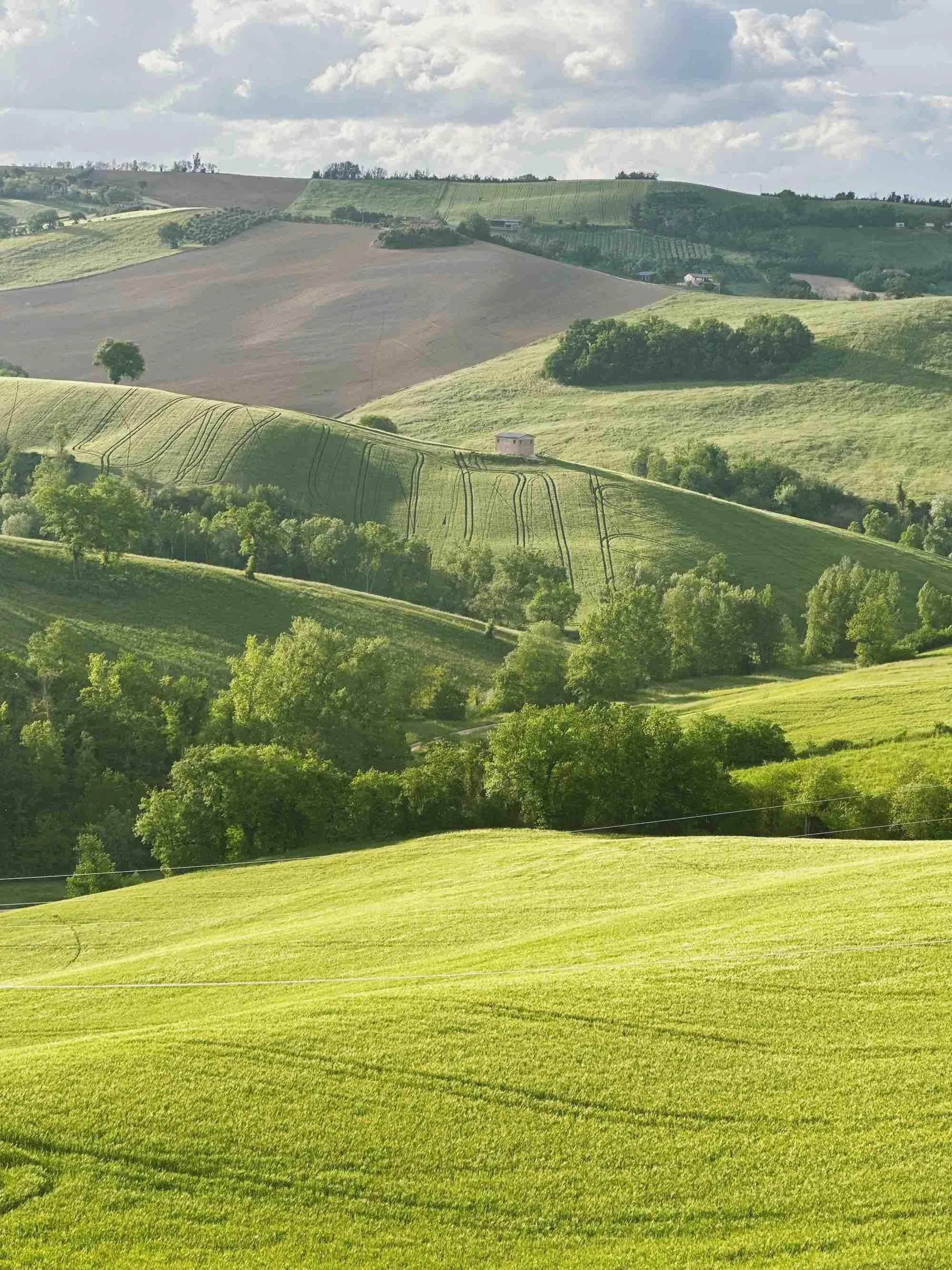 A scenic landscape of rolling green hills with scattered trees and a few small houses, under a partly cloudy sky.