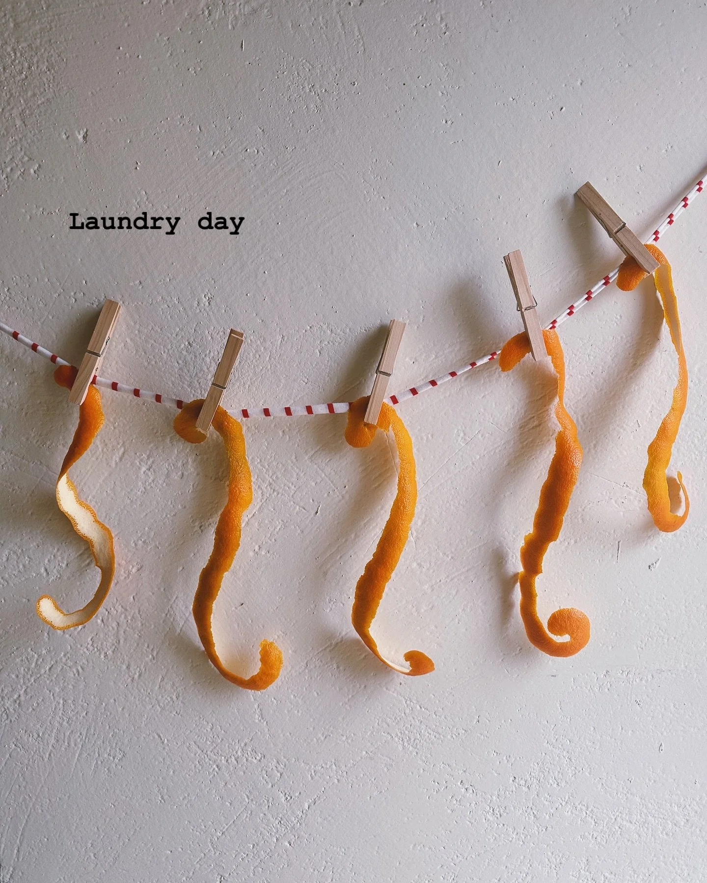 Wild bitter oranges 🍊🍊🍊(locally called merangole)
Zero treatment means you can safely use every part of the fruit! 
Marmalade, chutney &amp; fried pecorino, liqueur, orange rolls, cakes, dry peel that we store for infusions &amp; cooking

We still