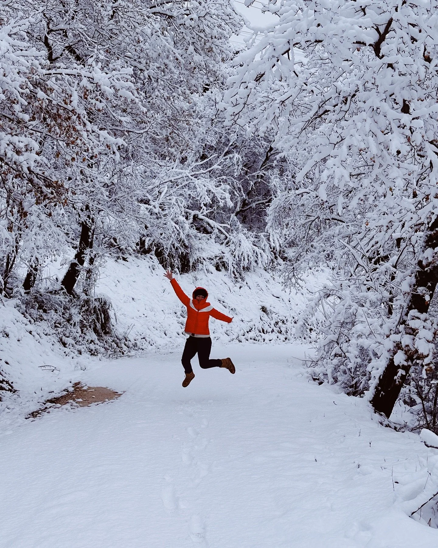 We got snowed in and we absolutely loved it!

It&rsquo;s the first time since we&rsquo;ve been back in Marche that we&rsquo;ve seen this much snow. And honestly? It felt like pure luxury&mdash;the kind where time just&hellip; stops

The first morning