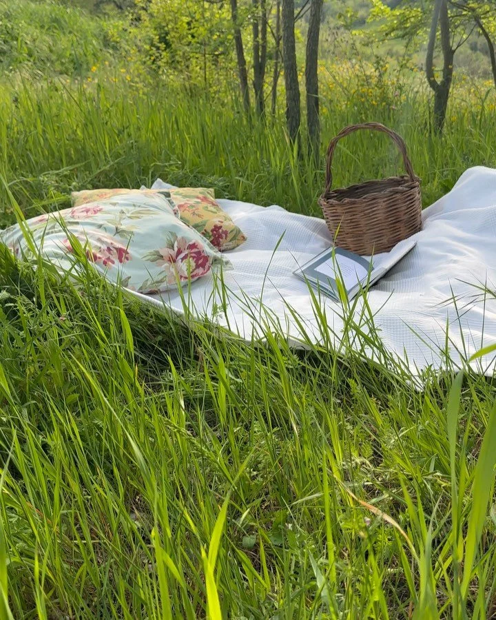 It&rsquo;s time to open up the windows ✨ and let the sun in ☀️

#springvibes🌸 #guesthouses #italianholiday #bestitalianplaces #lemarche #visititaly #visitmarche