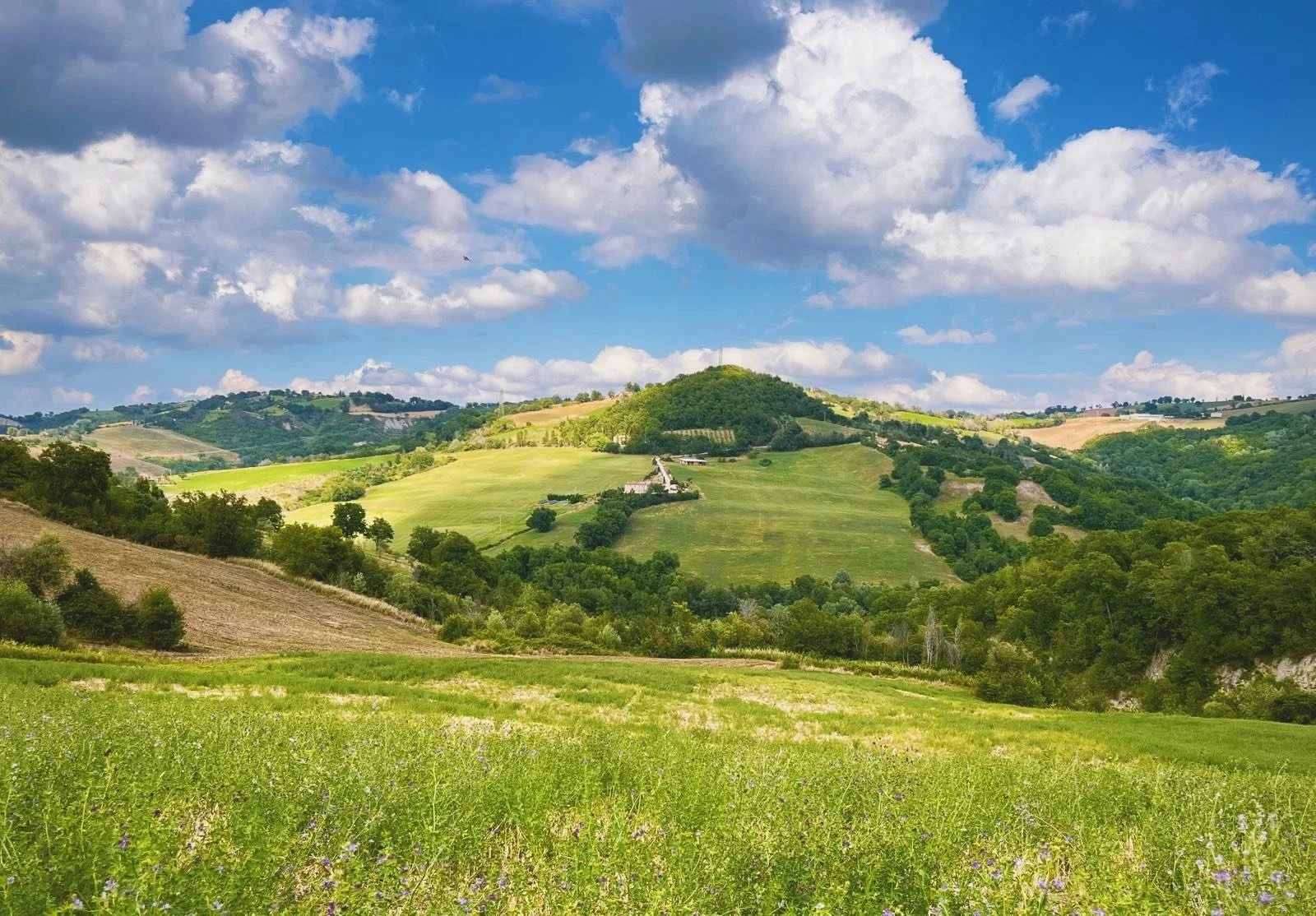 gentle hills of Le Marche countryside and Casa Janna boutique guest house and home restaurant
