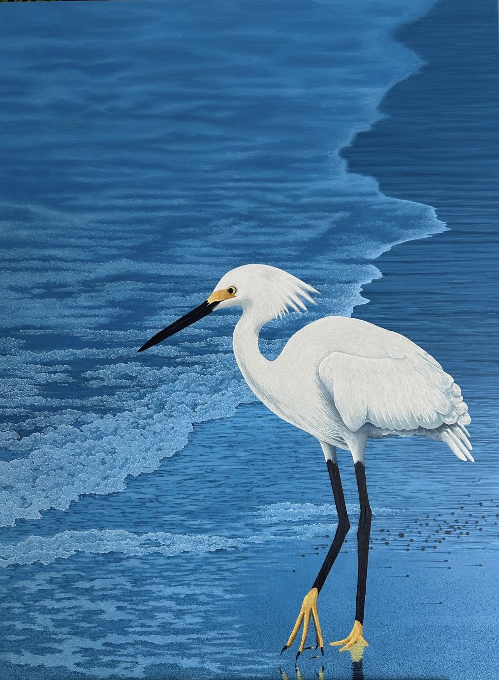 Snowy Egret