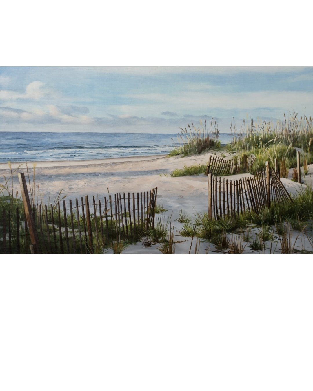 Morning at Driesen Beach