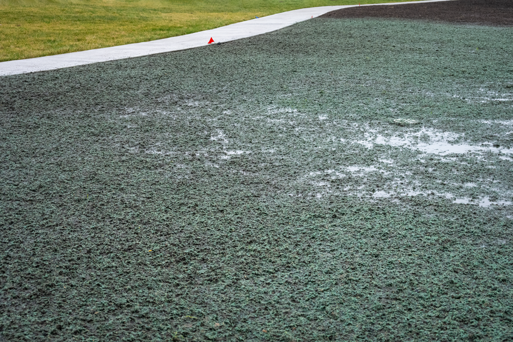 Hydro Seeding