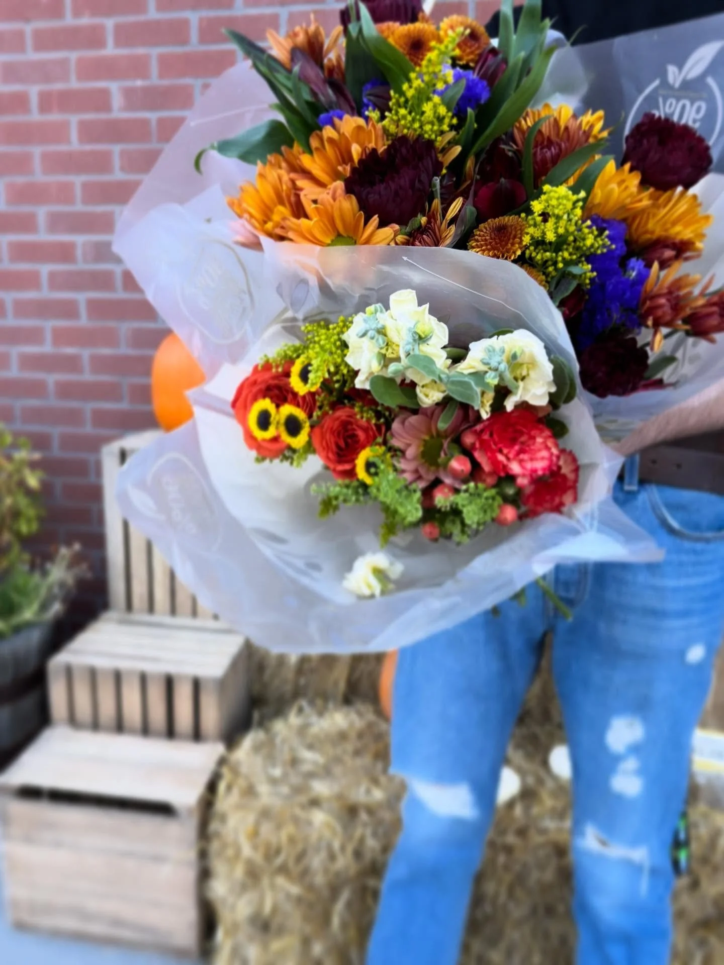 Goodbye, October fun 🍁✨💛🫶💫