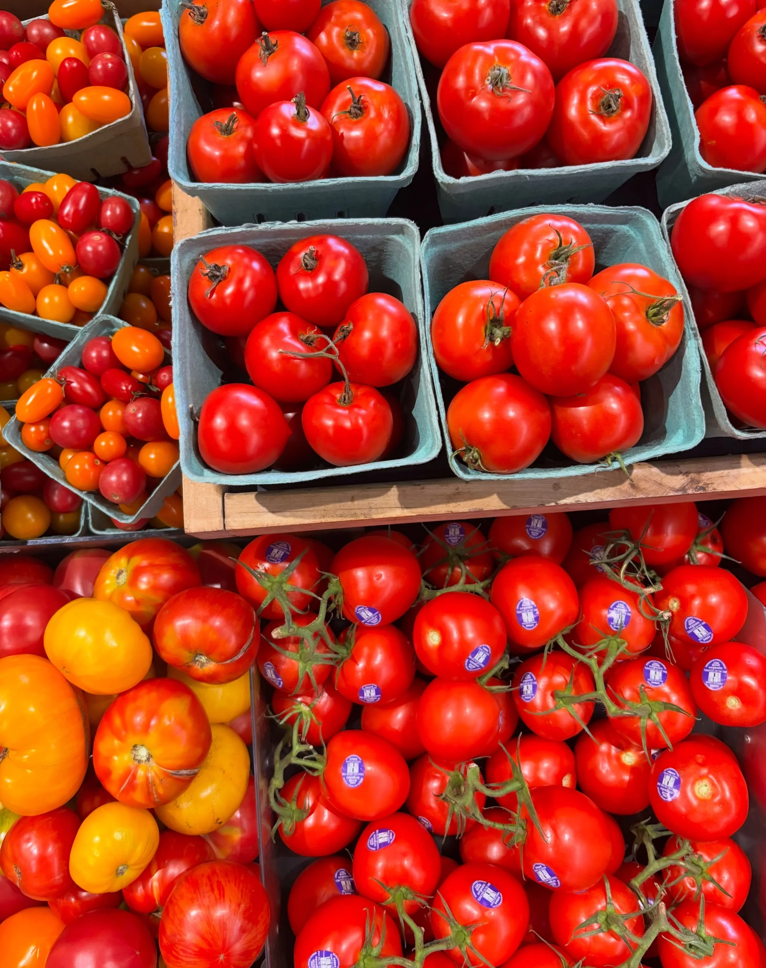 How lucky are we to have such beautiful, delicious produce every day? 🥹🥕🍅🌿✨