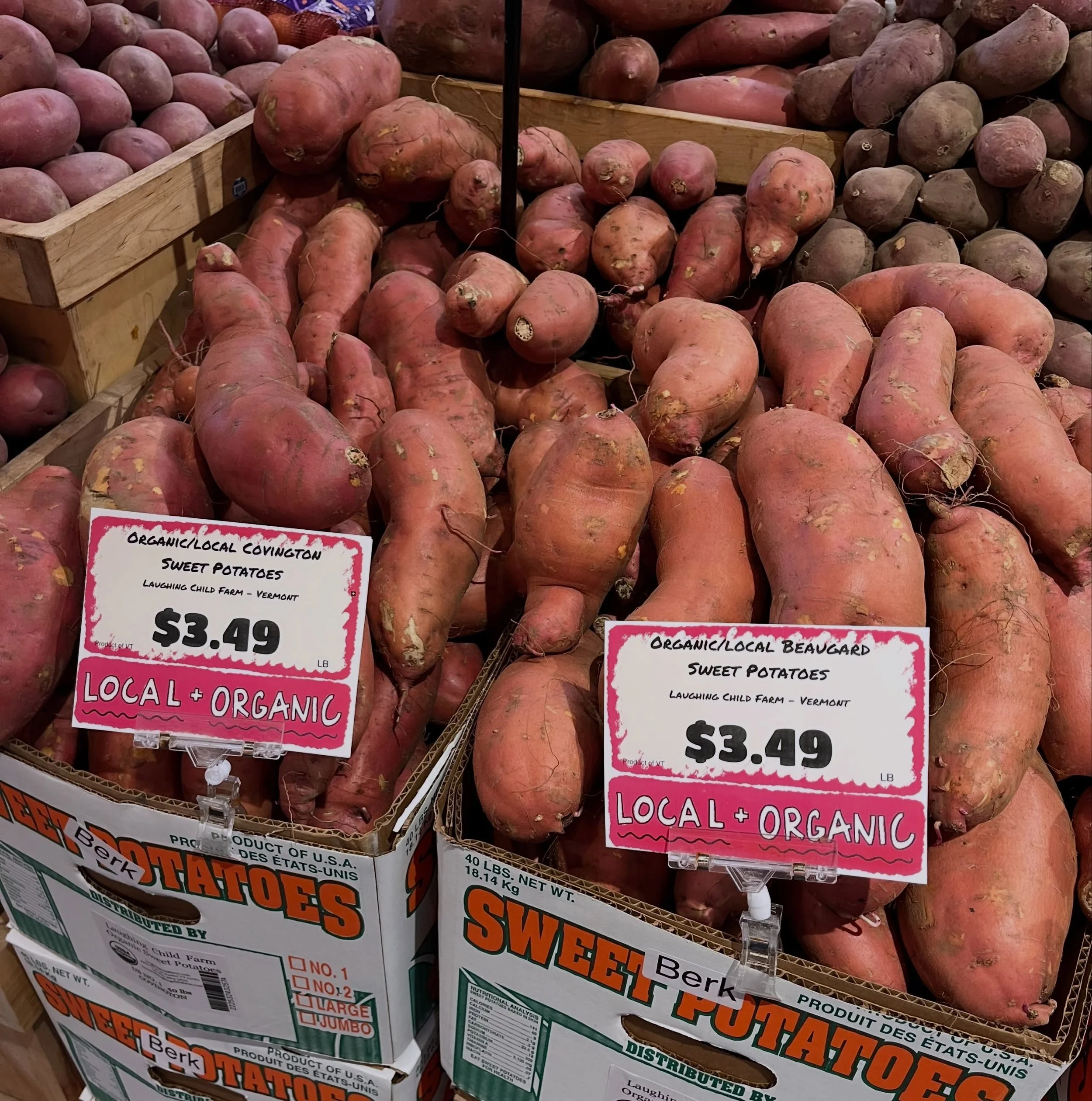 LOCAL Laughing Child Farm Sweet Potatoes are here! 🥳 

@laughingchildfarm 🍠🧡💛❤️🤎