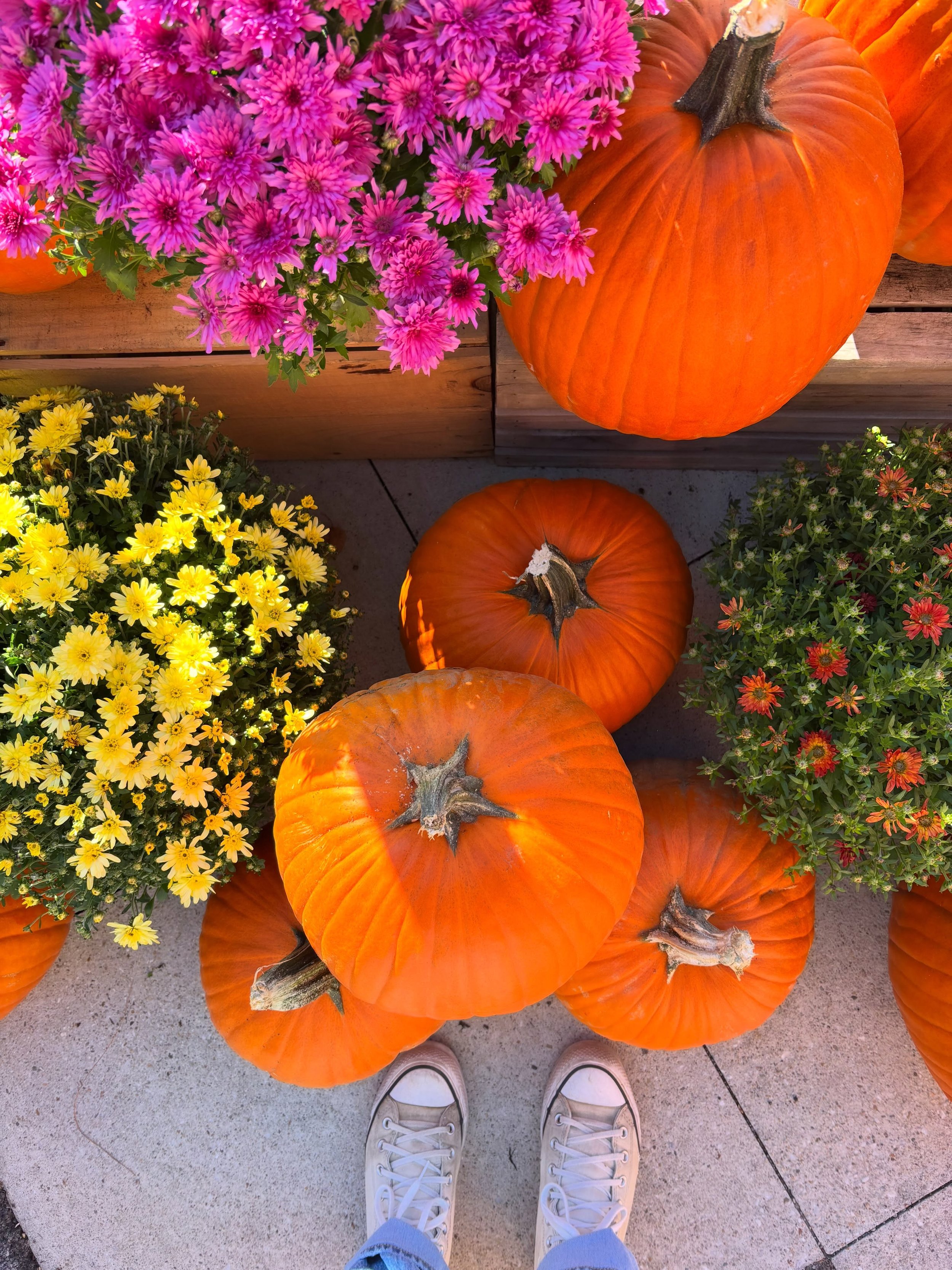 ✨🍎🍂🎃 We&rsquo;ve been dreaming of crisp days, local apples, warm sweaters, hot cider &amp; all the cozy fall treats 🧡🤗