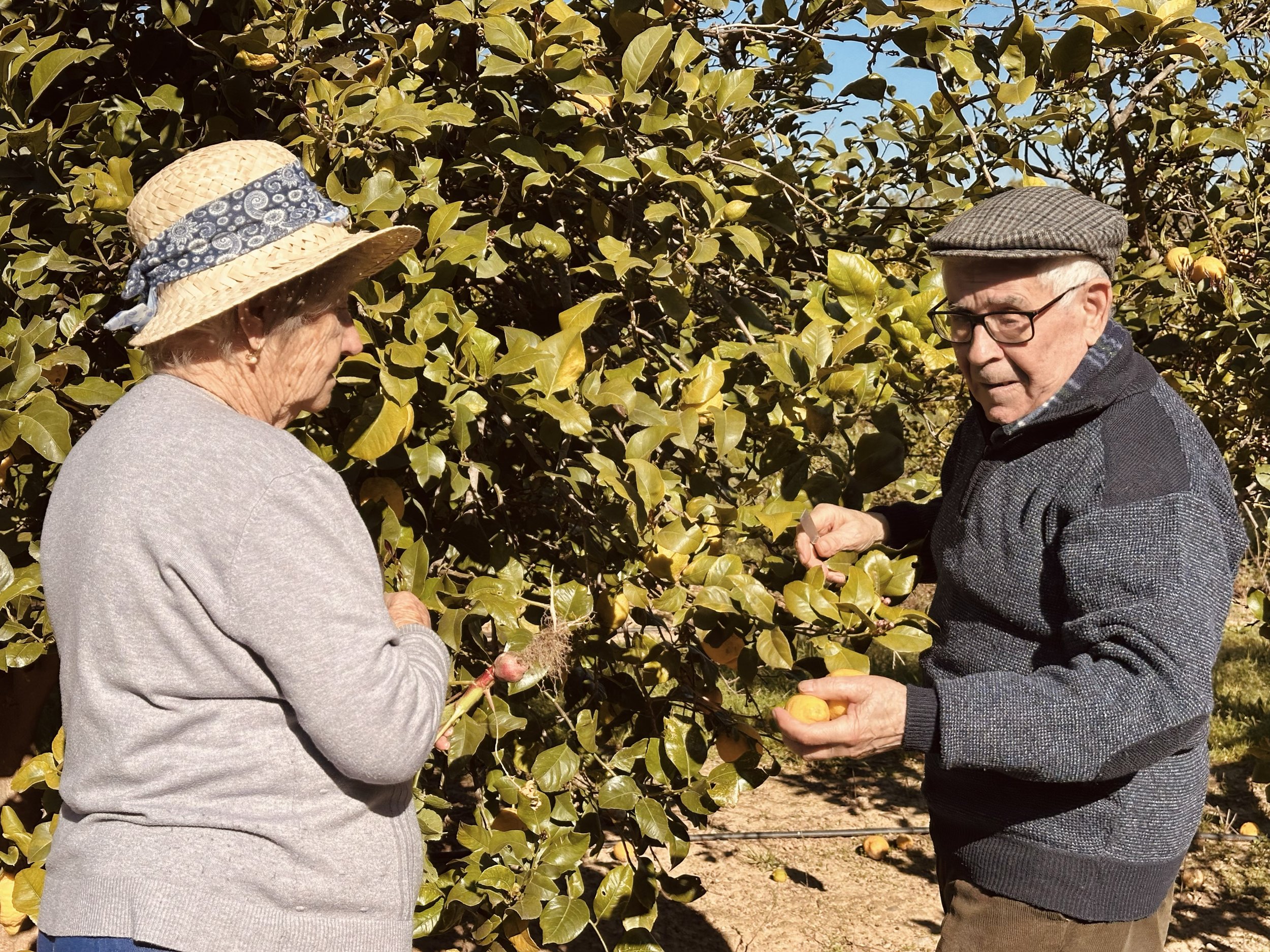 espais exteriors__0002_IMG_8257.jpg