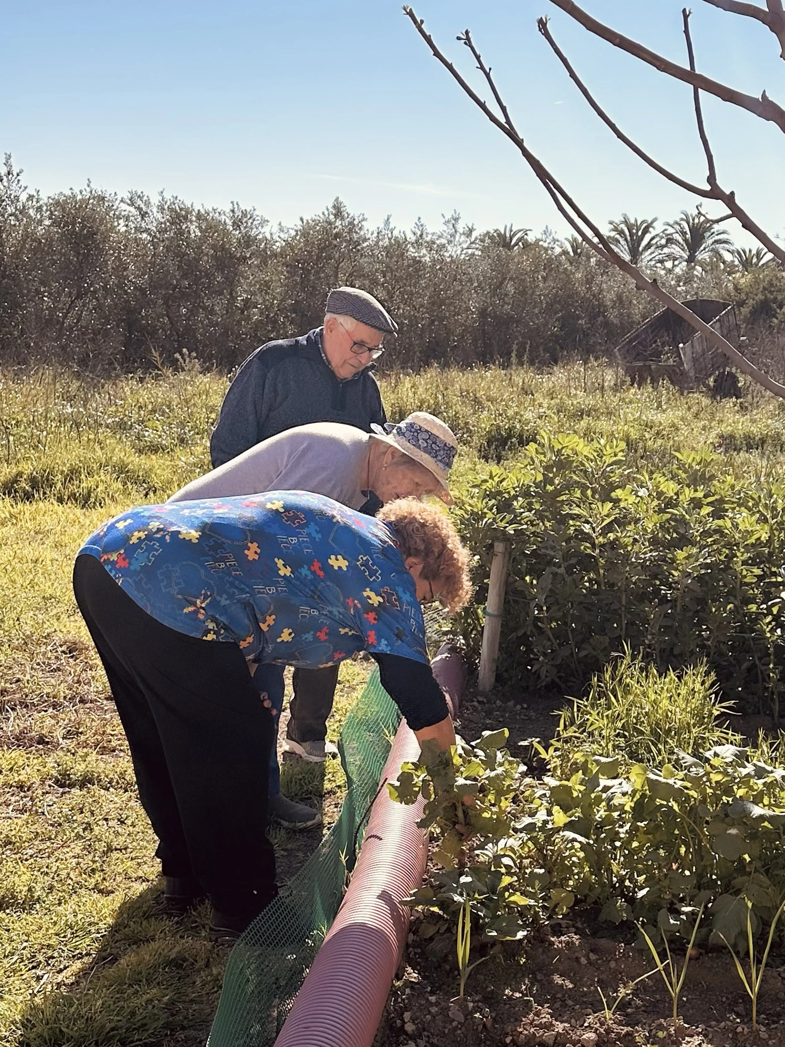 espai exteriors-14.jpg