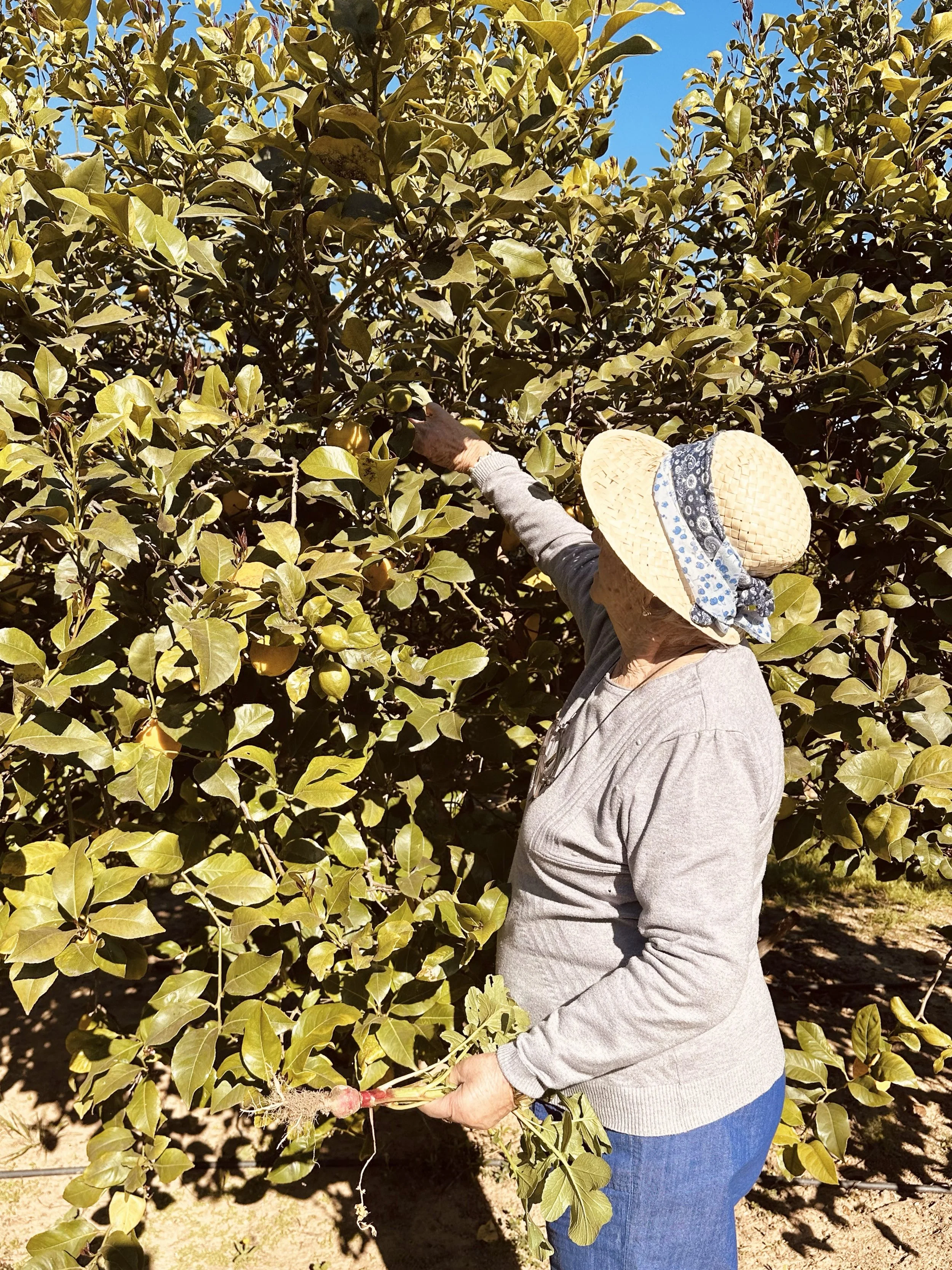 espai exteriors-9.jpg