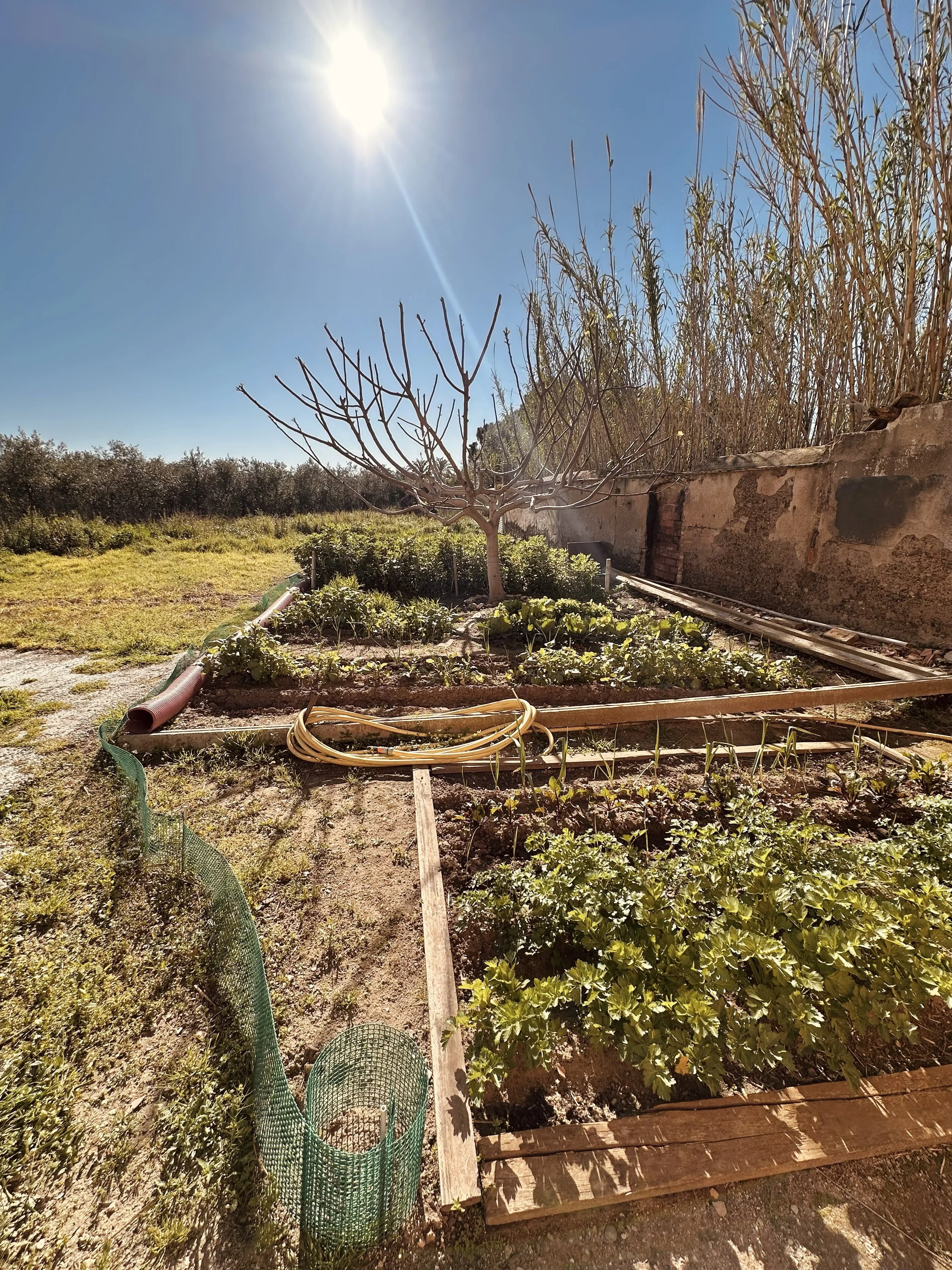 espai exteriors-12.jpg