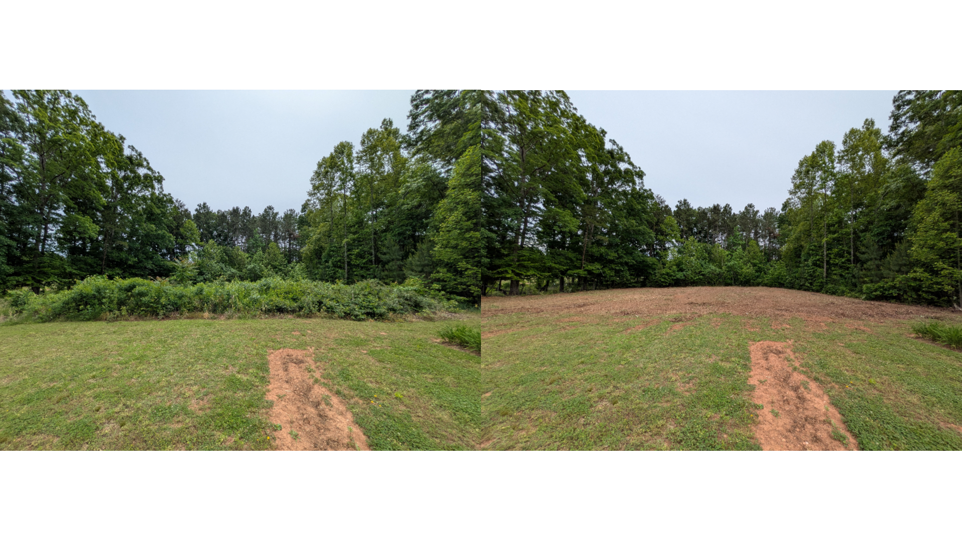 Forestry mulching before and after in Charlotte County VA