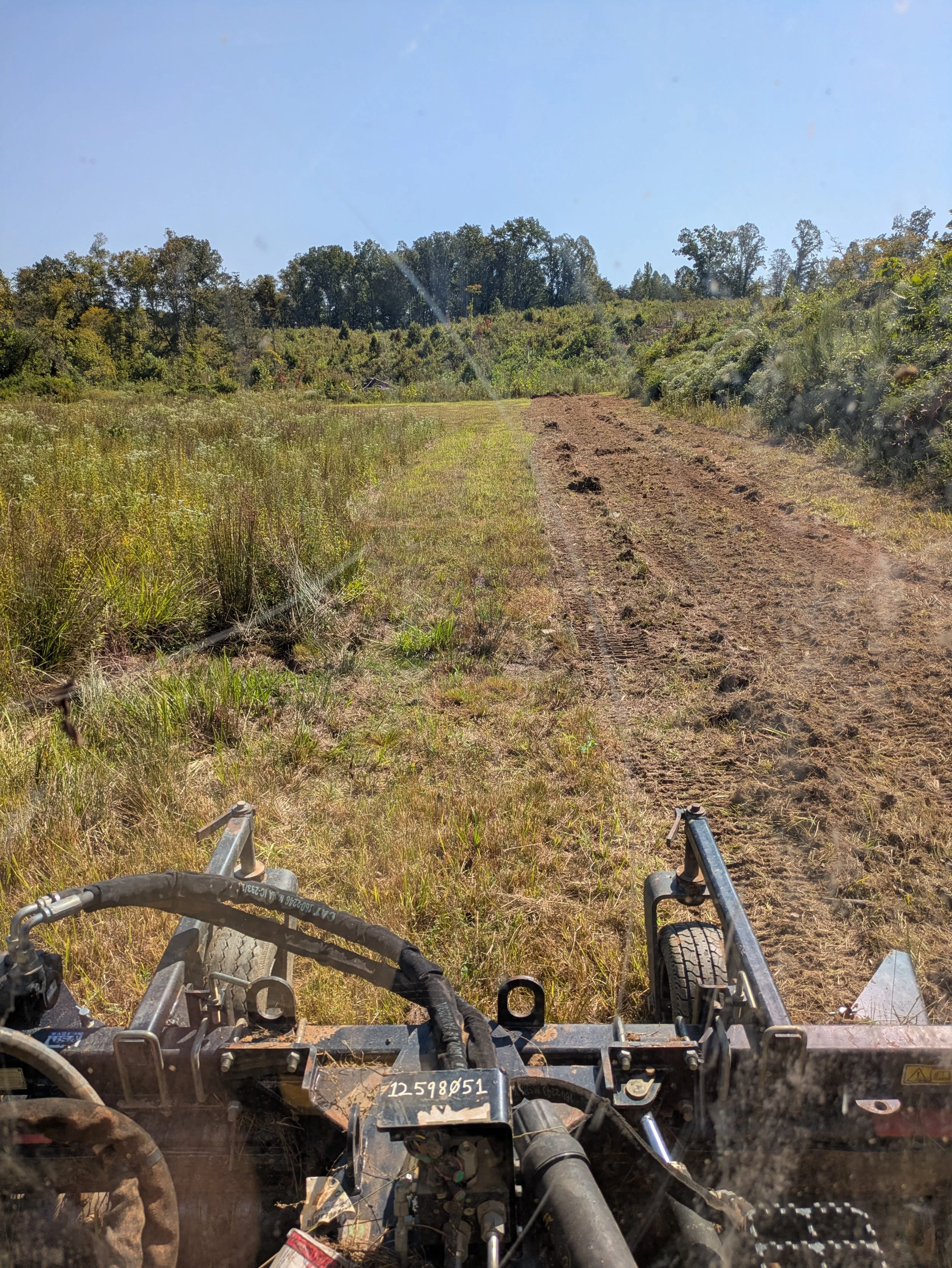 Land Restoration in Prince Edward County VA