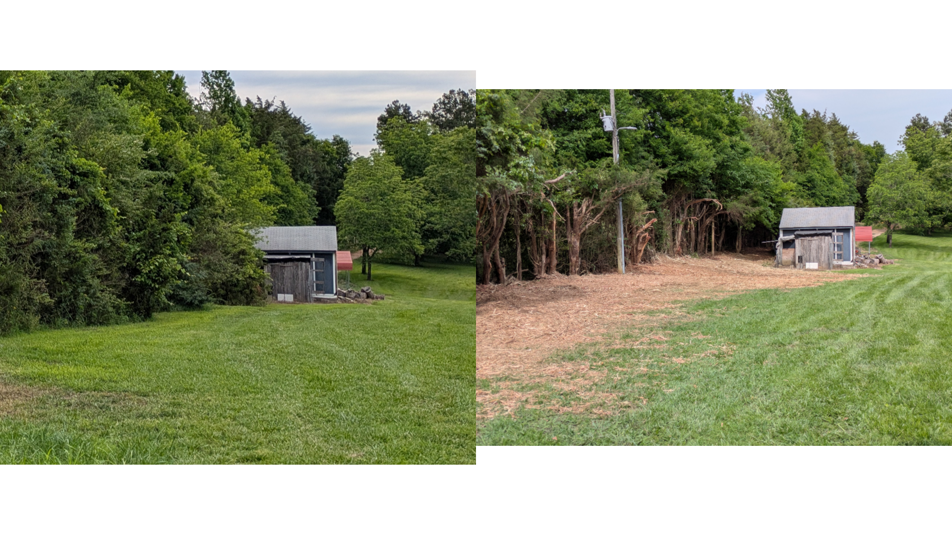 Forestry mulching before and after in Prince Edward County VA