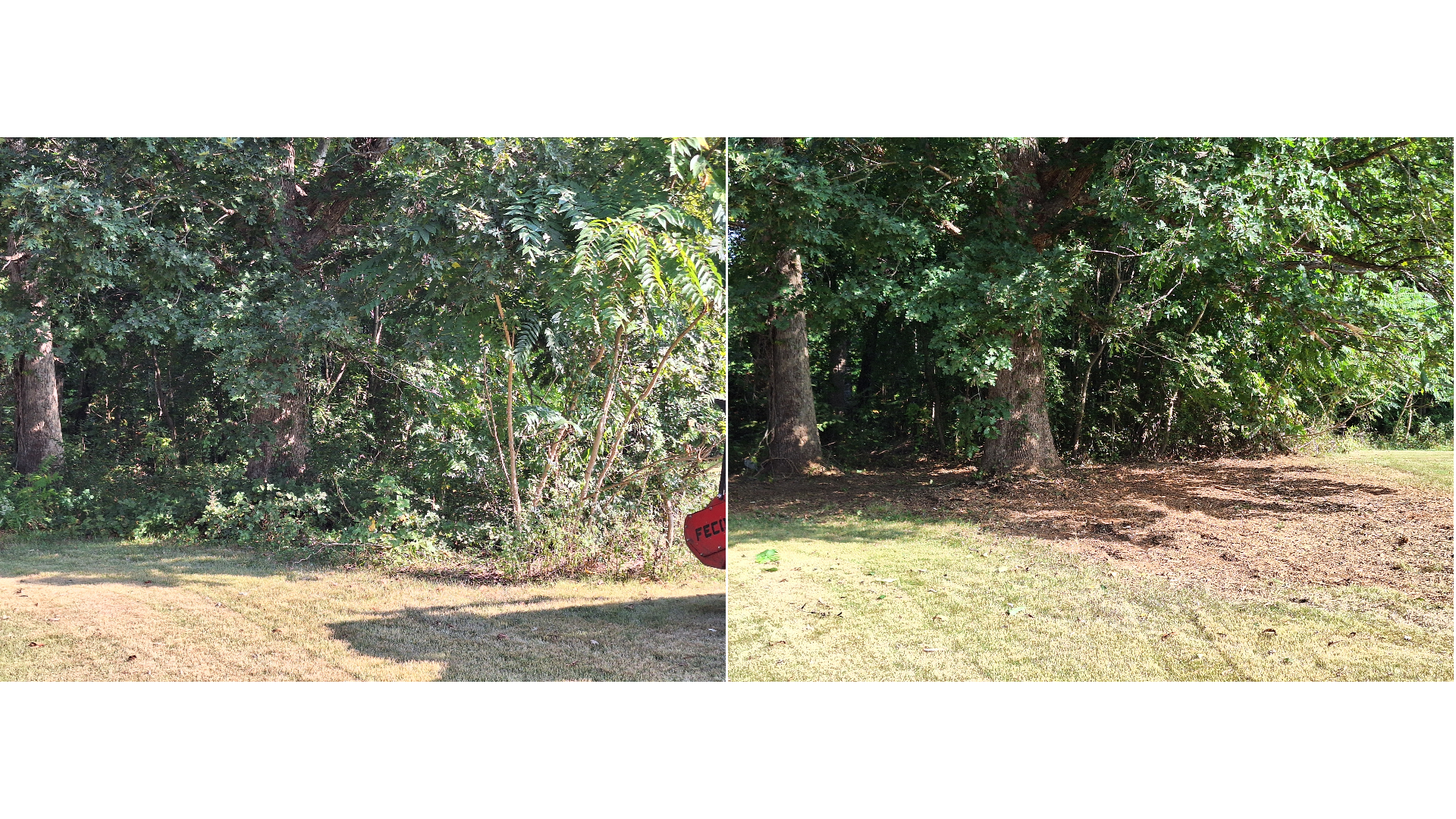 Forestry mulching before and after in Prospect VA