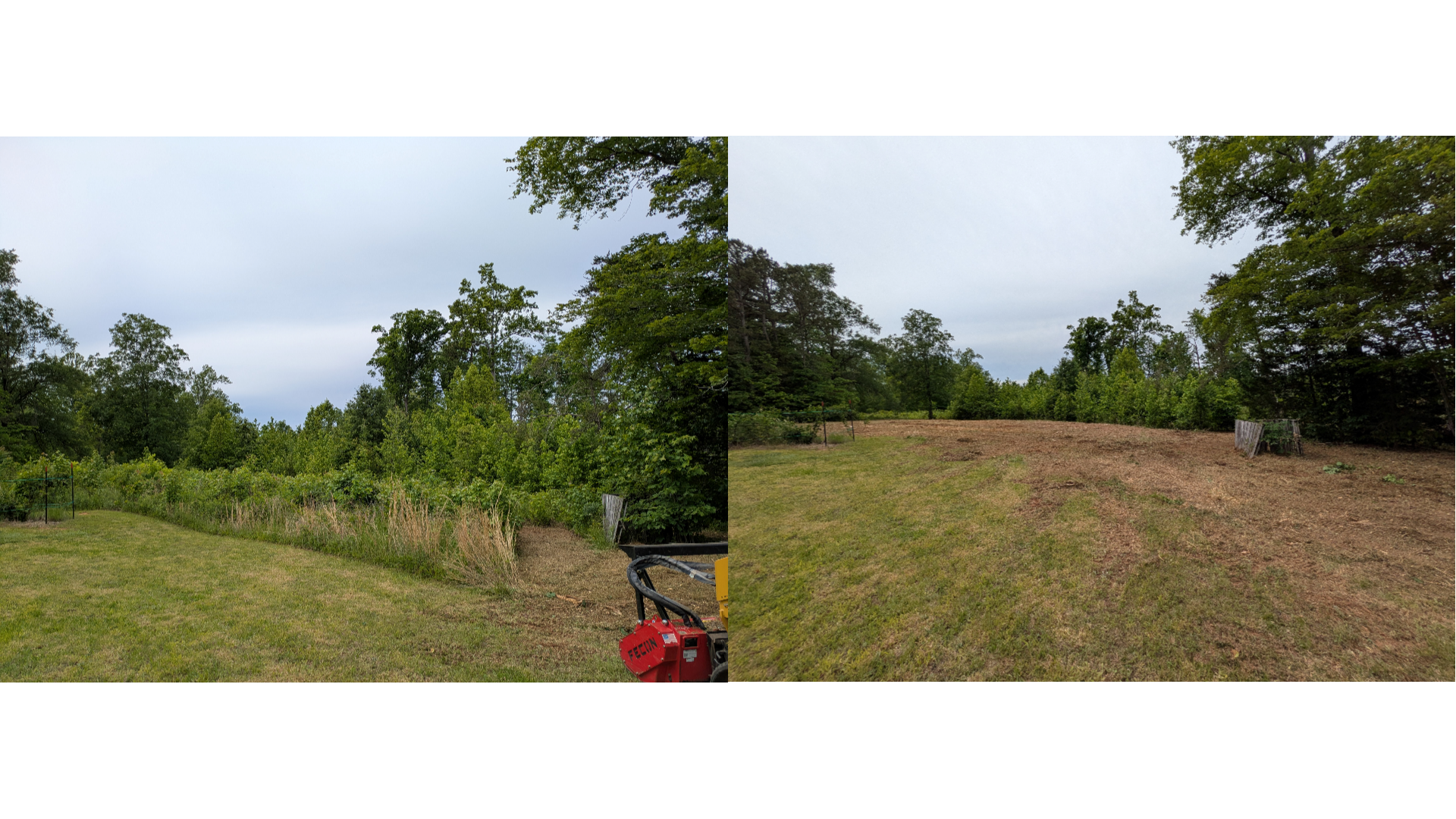 Forestry mulching before and after in Drakes Branch VA