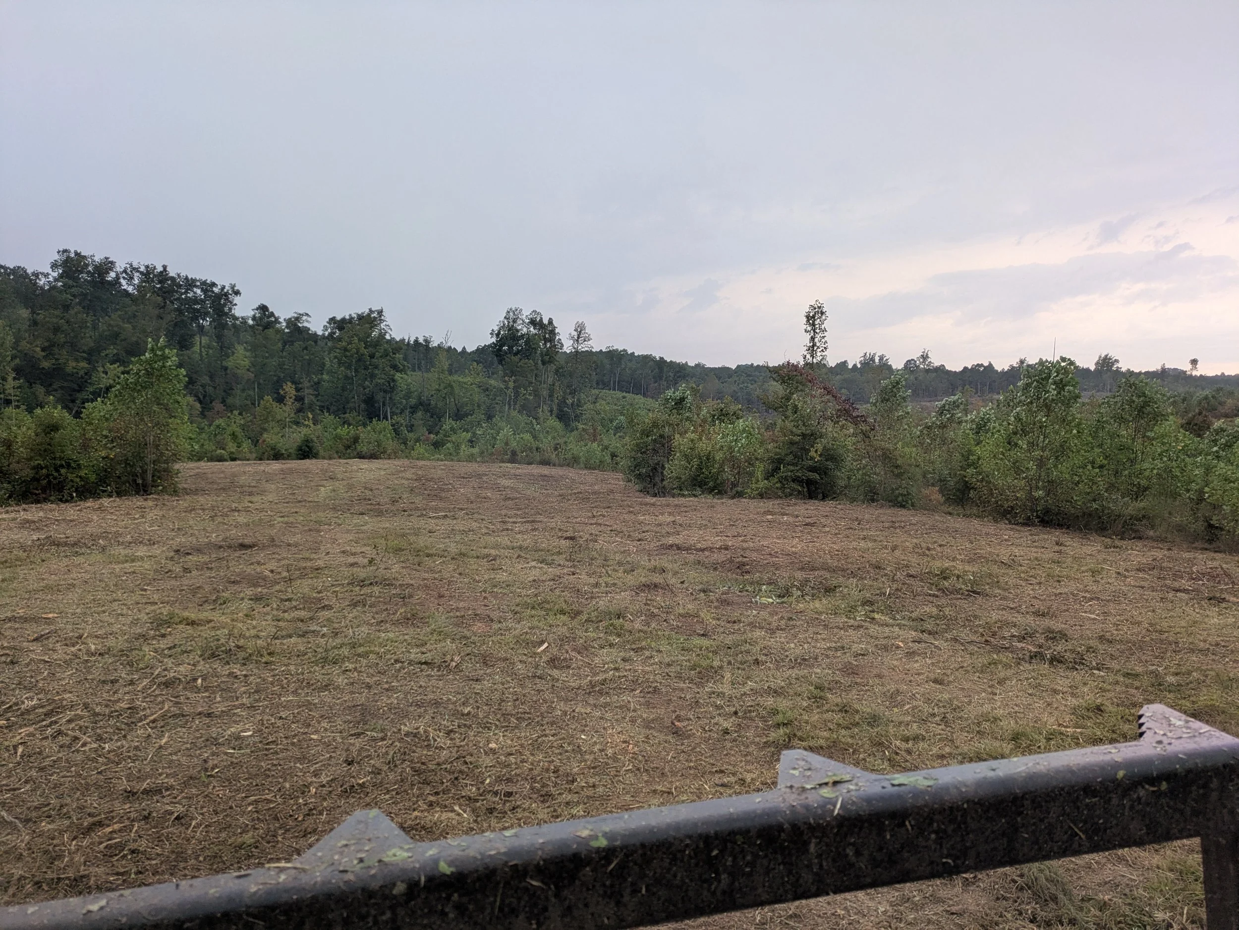 Forestry mulching before and after in Prince Edward County VA