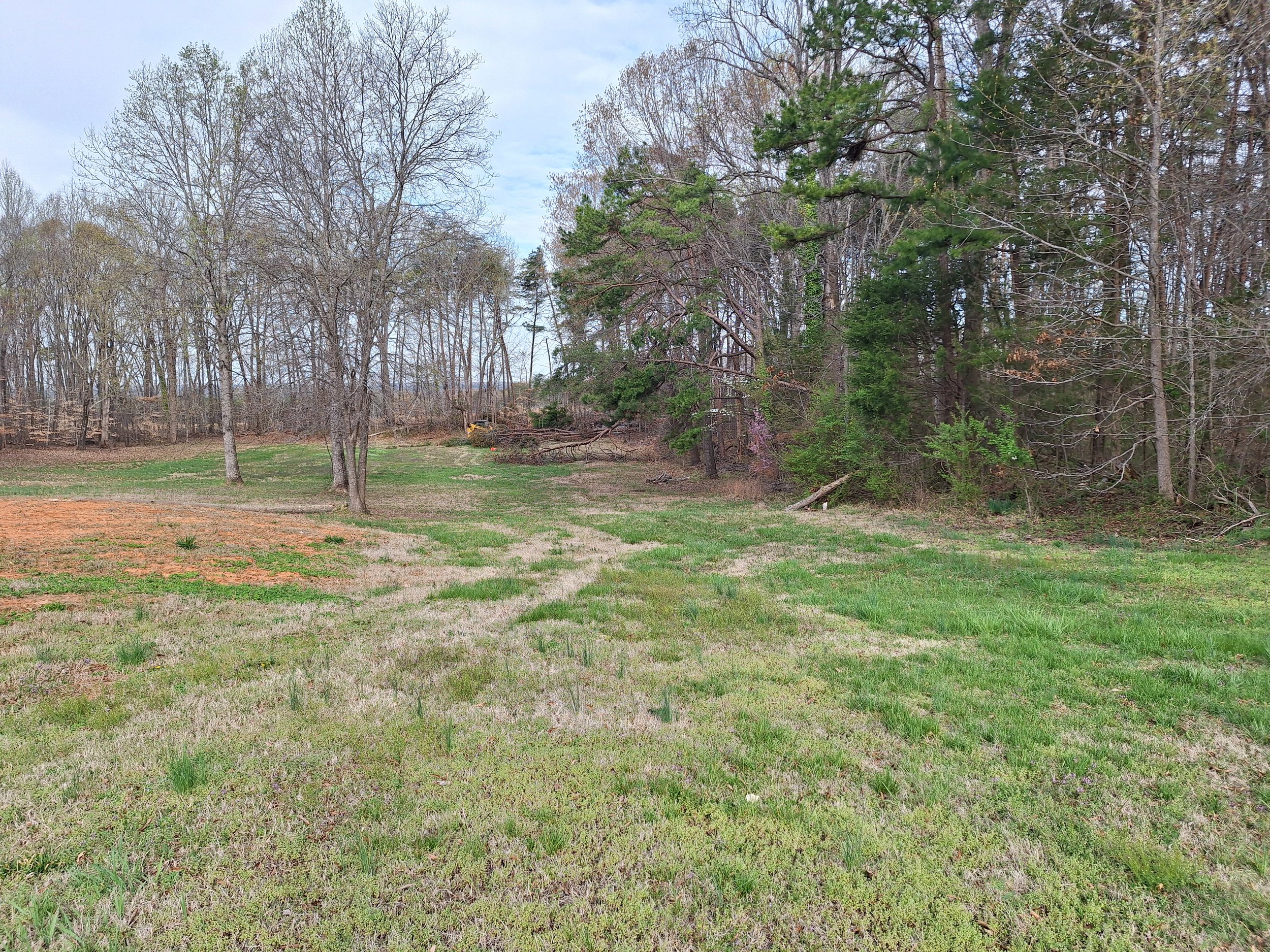 Storm cleanup removing downed trees in Farmville VA