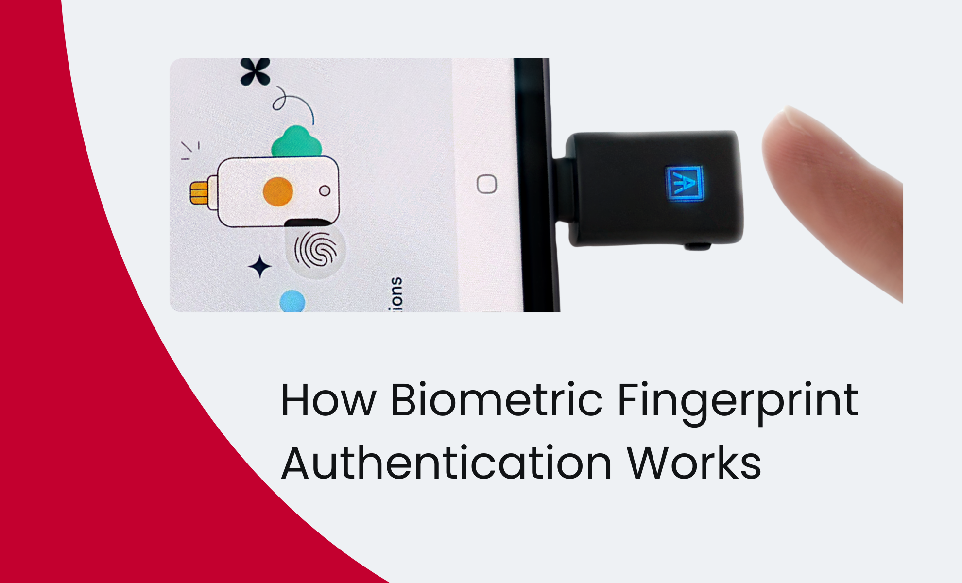 How Biometric Fingerprint Authentication Works&nbsp;