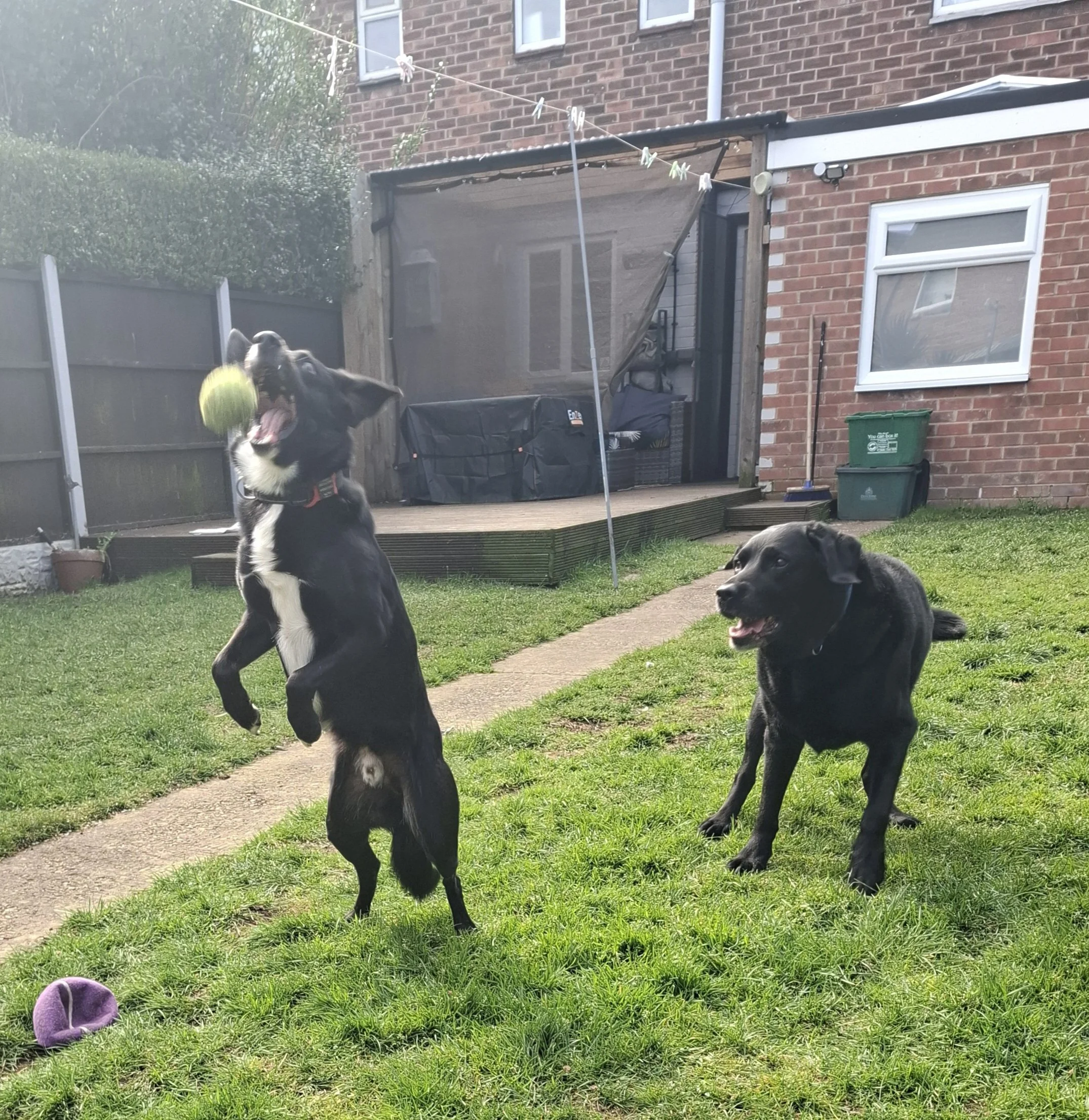 Playing with a ball during a home visit