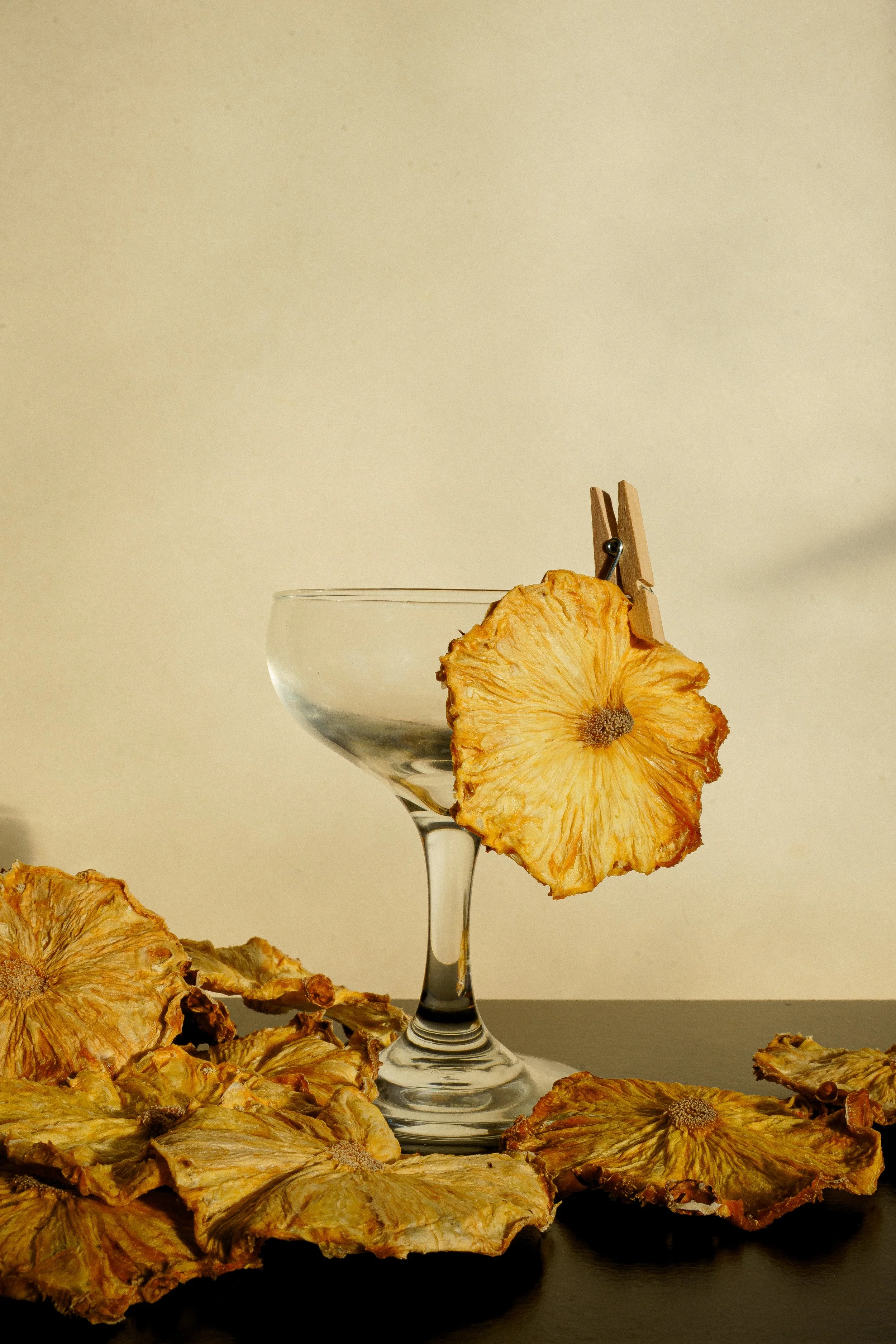 garnish deluxe x chiara ceccaioni - 2026.jpg