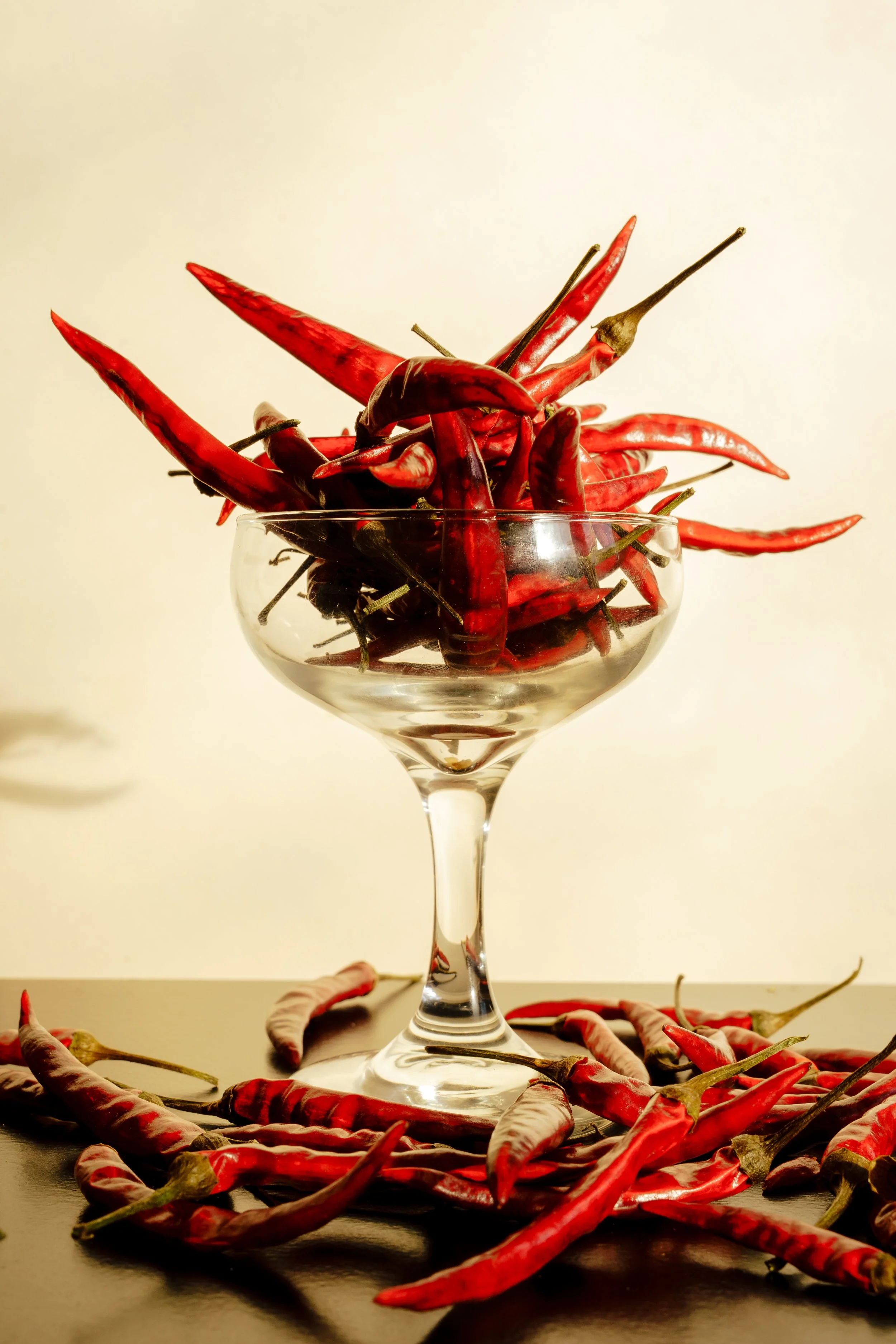 garnish deluxe x chiara ceccaioni - 2026-11.jpg