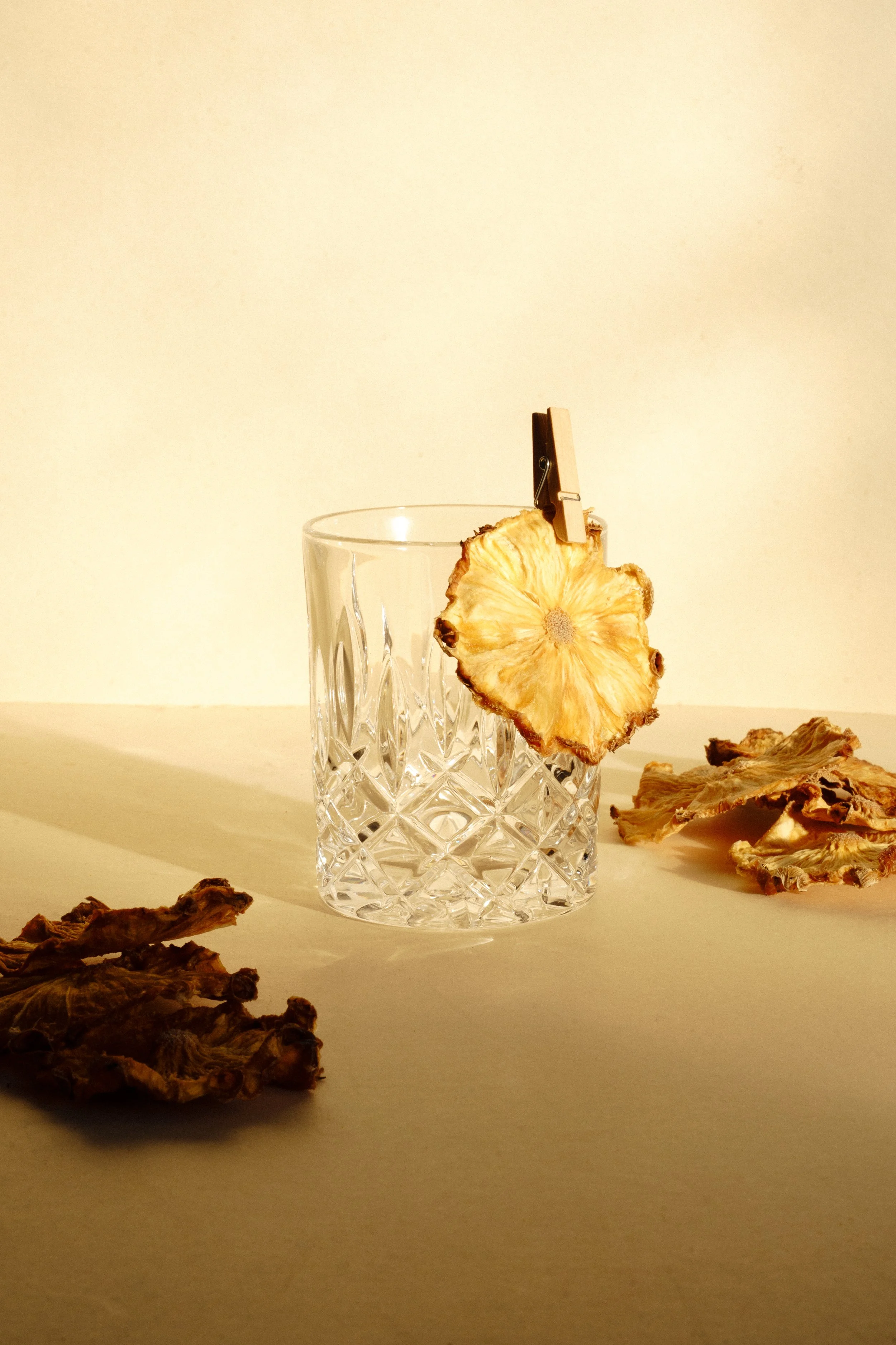 garnish deluxe x chiara ceccaioni - 2026-8.jpg