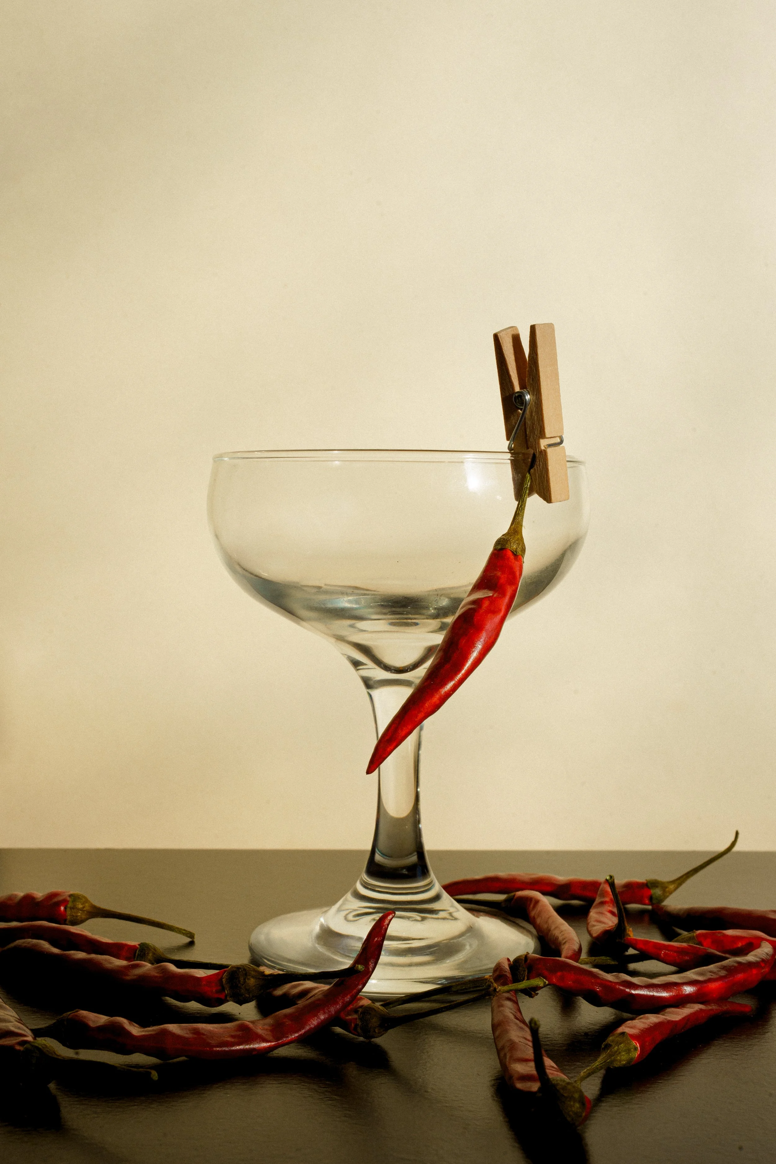 garnish deluxe x chiara ceccaioni - 2026-5.jpg