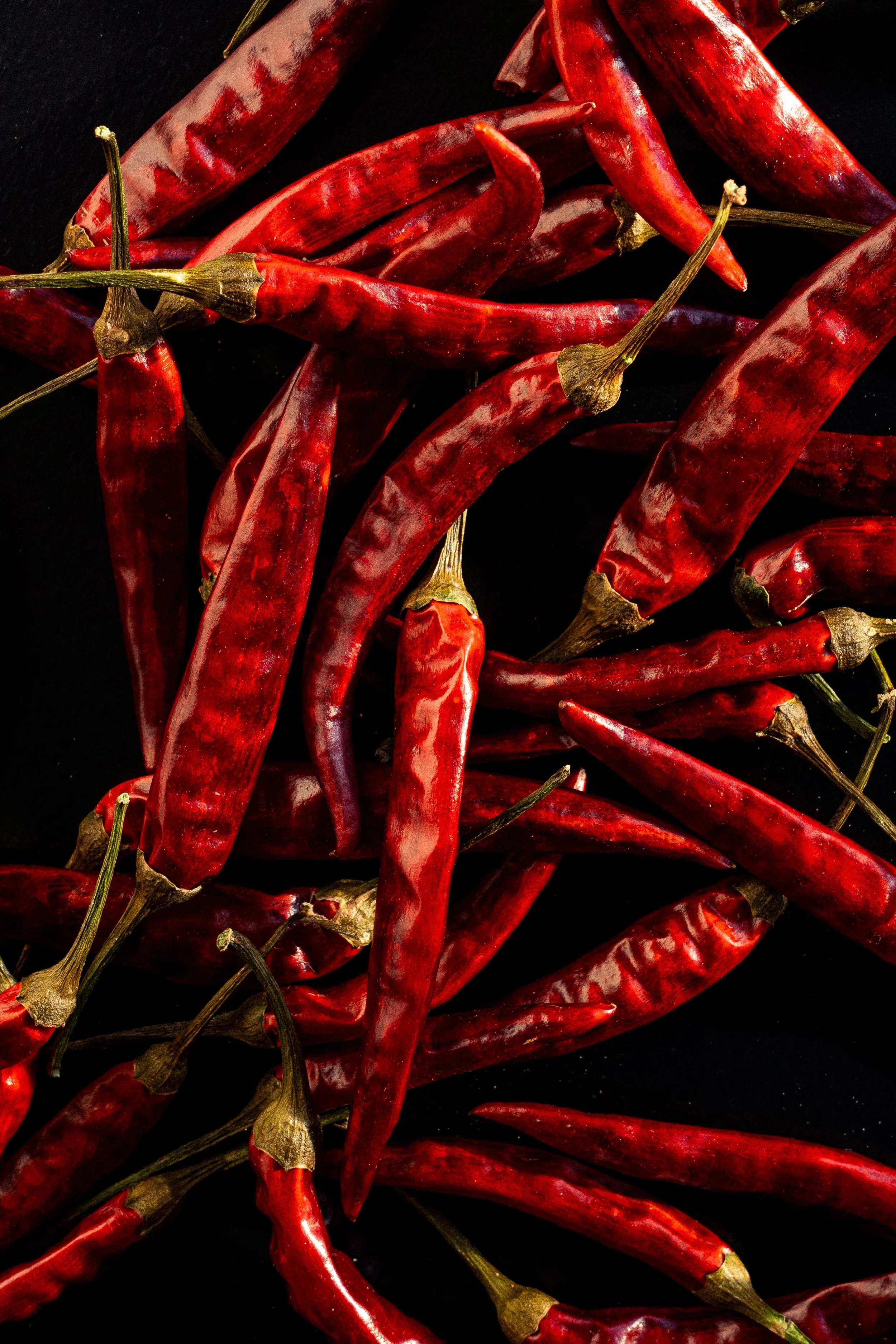 garnish deluxe x chiara ceccaioni - 2026-24.jpg