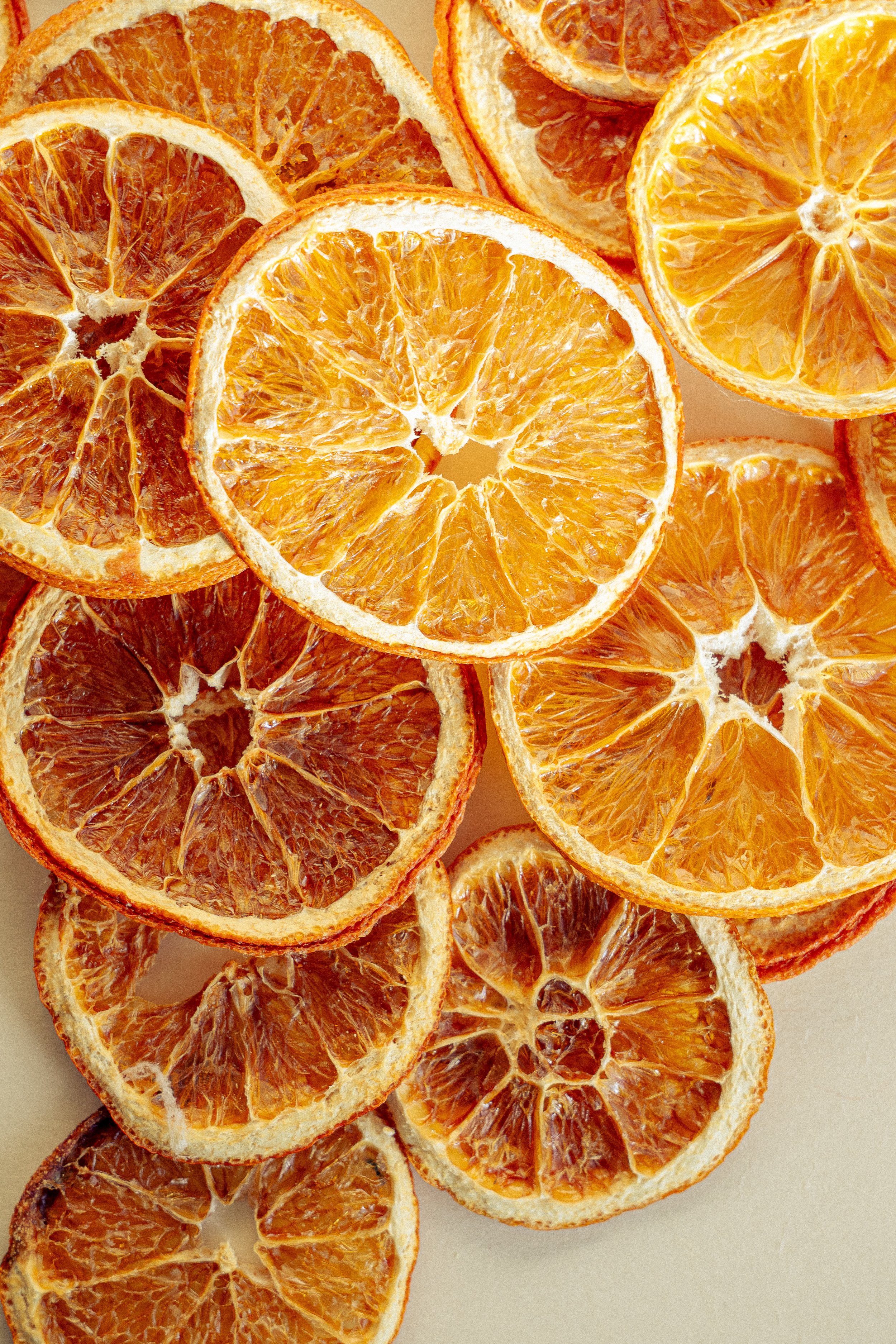 garnish deluxe x chiara ceccaioni - 2026-27.jpg