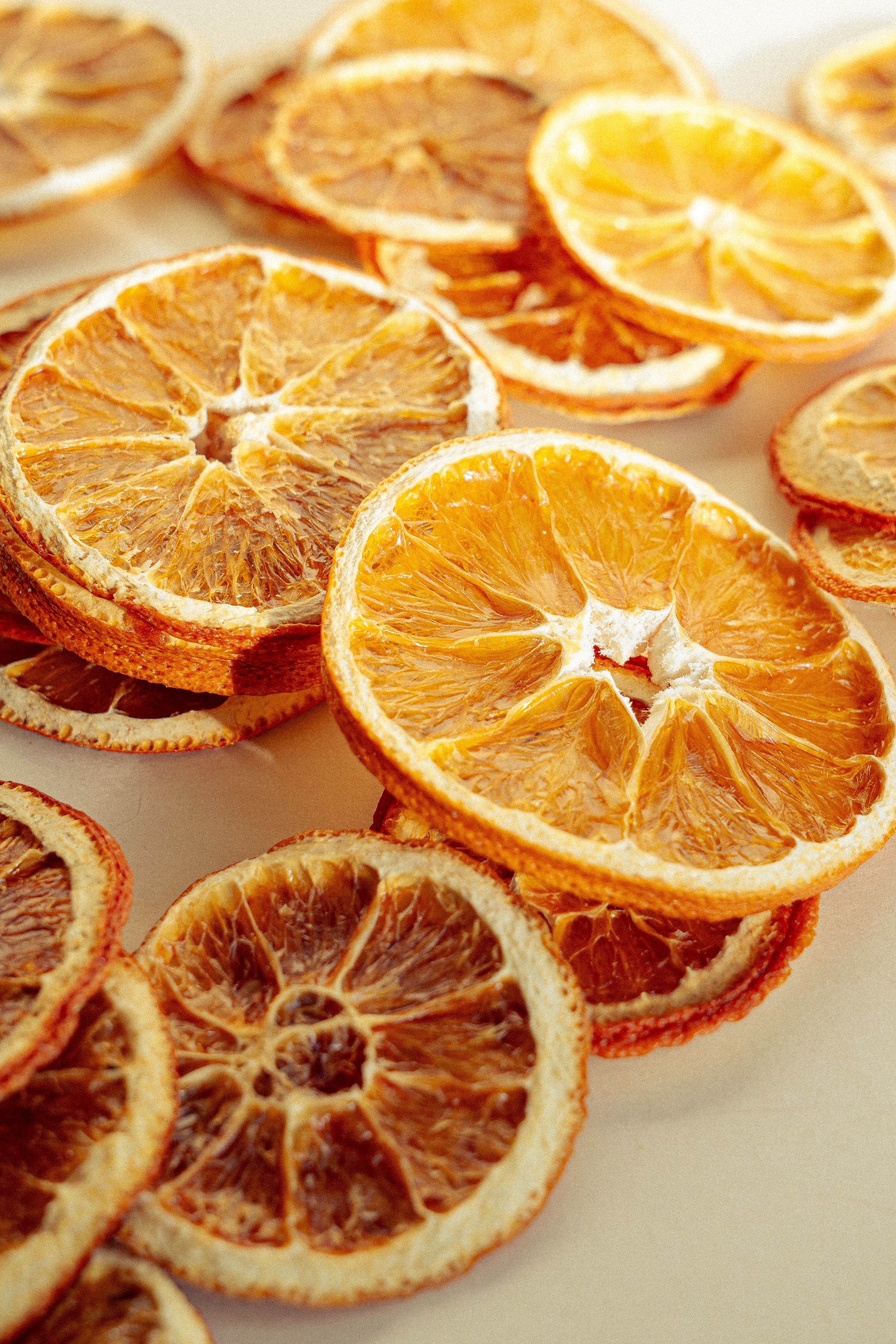 garnish deluxe x chiara ceccaioni - 2026-25.jpg