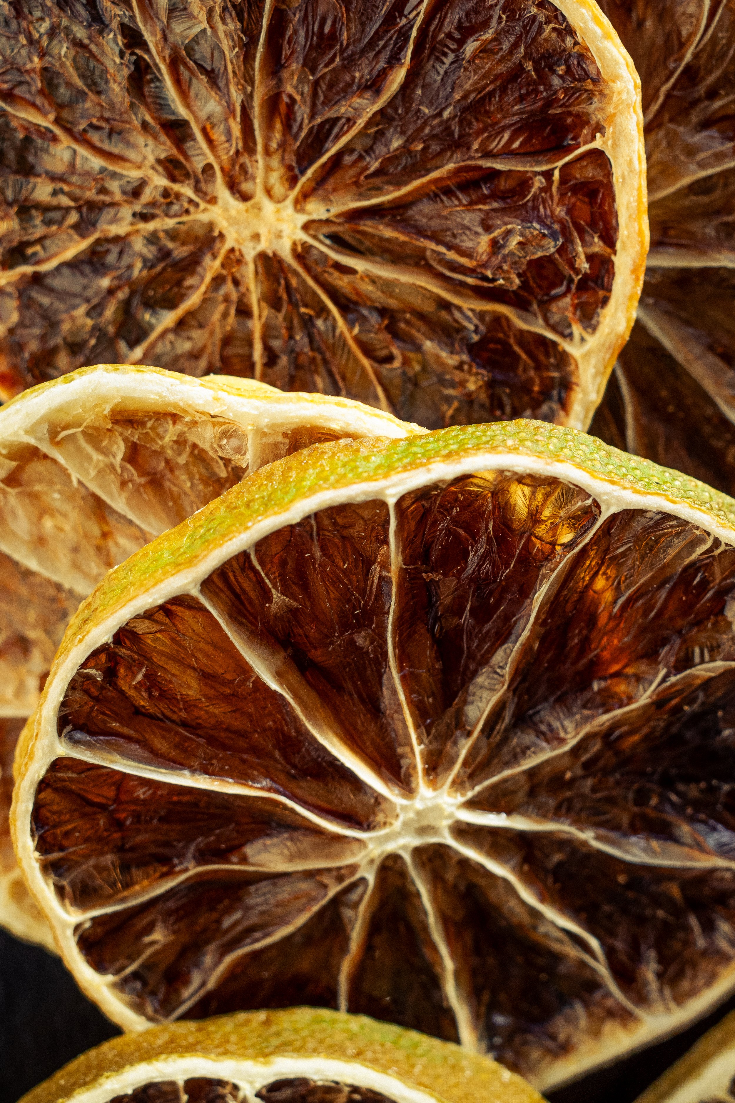 garnish deluxe x chiara ceccaioni - 2026-28.jpg