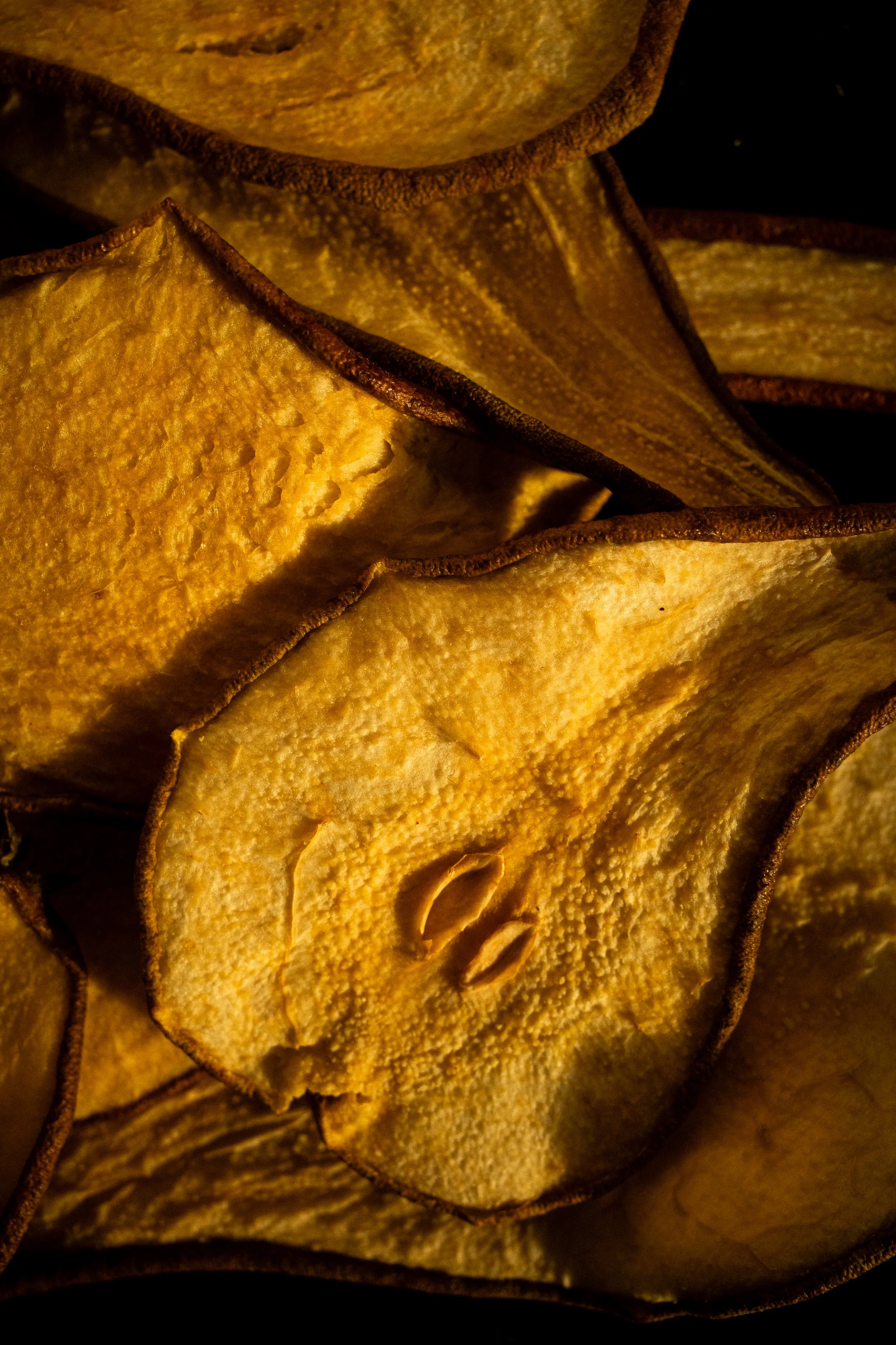 garnish deluxe x chiara ceccaioni - 2026-15.jpg