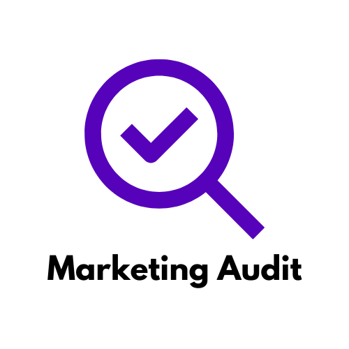 Marketing audit icon (3).png